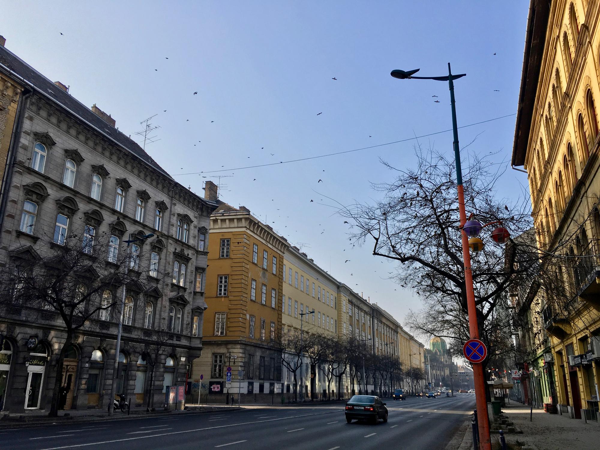 🇭🇺 Budapest, Hungary, January 2017.