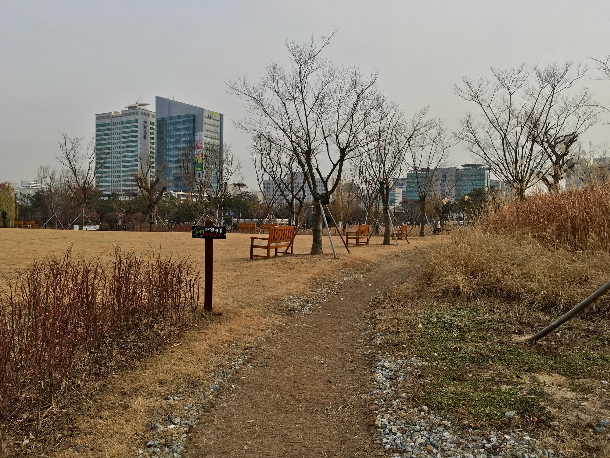 🇰🇷 Daejeon, South Korea, January 2019.
