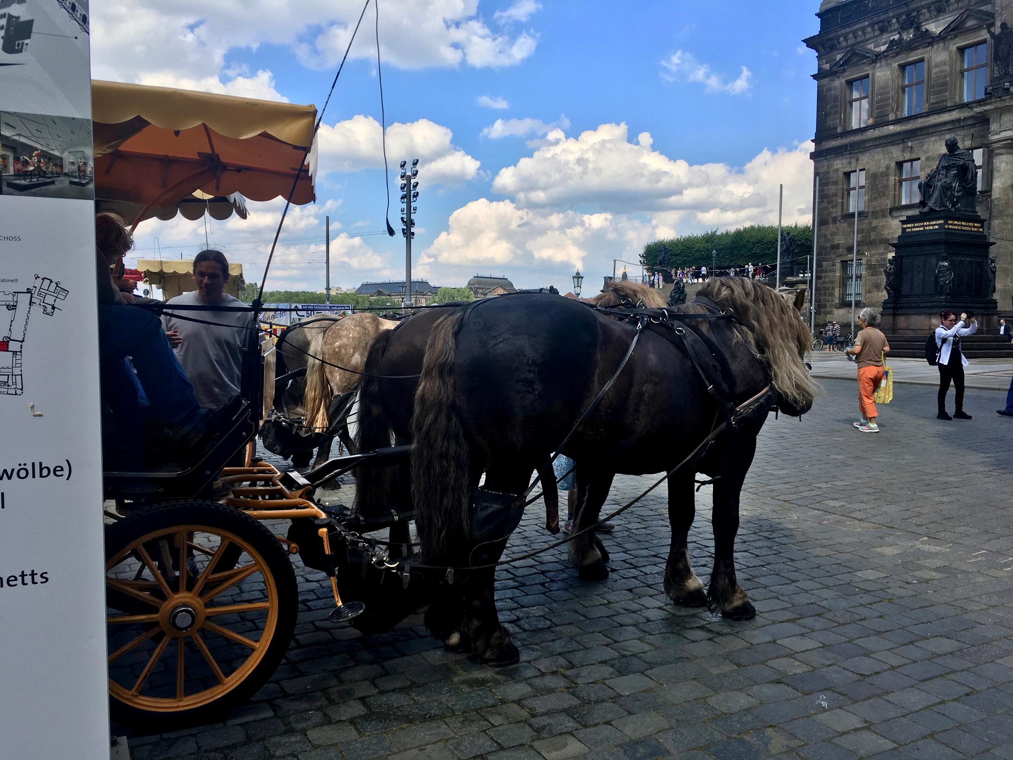 🇩🇪 Дрезден, Германия, июль 2017.