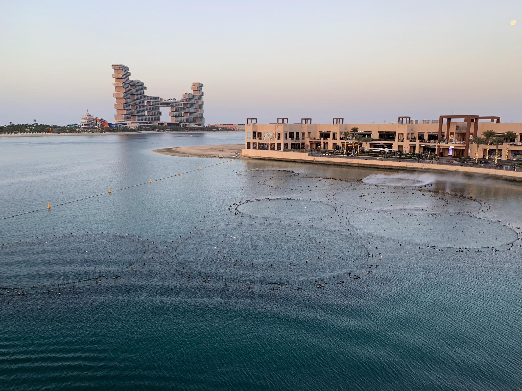 🇦🇪 Dubai, UAE, February 2023.