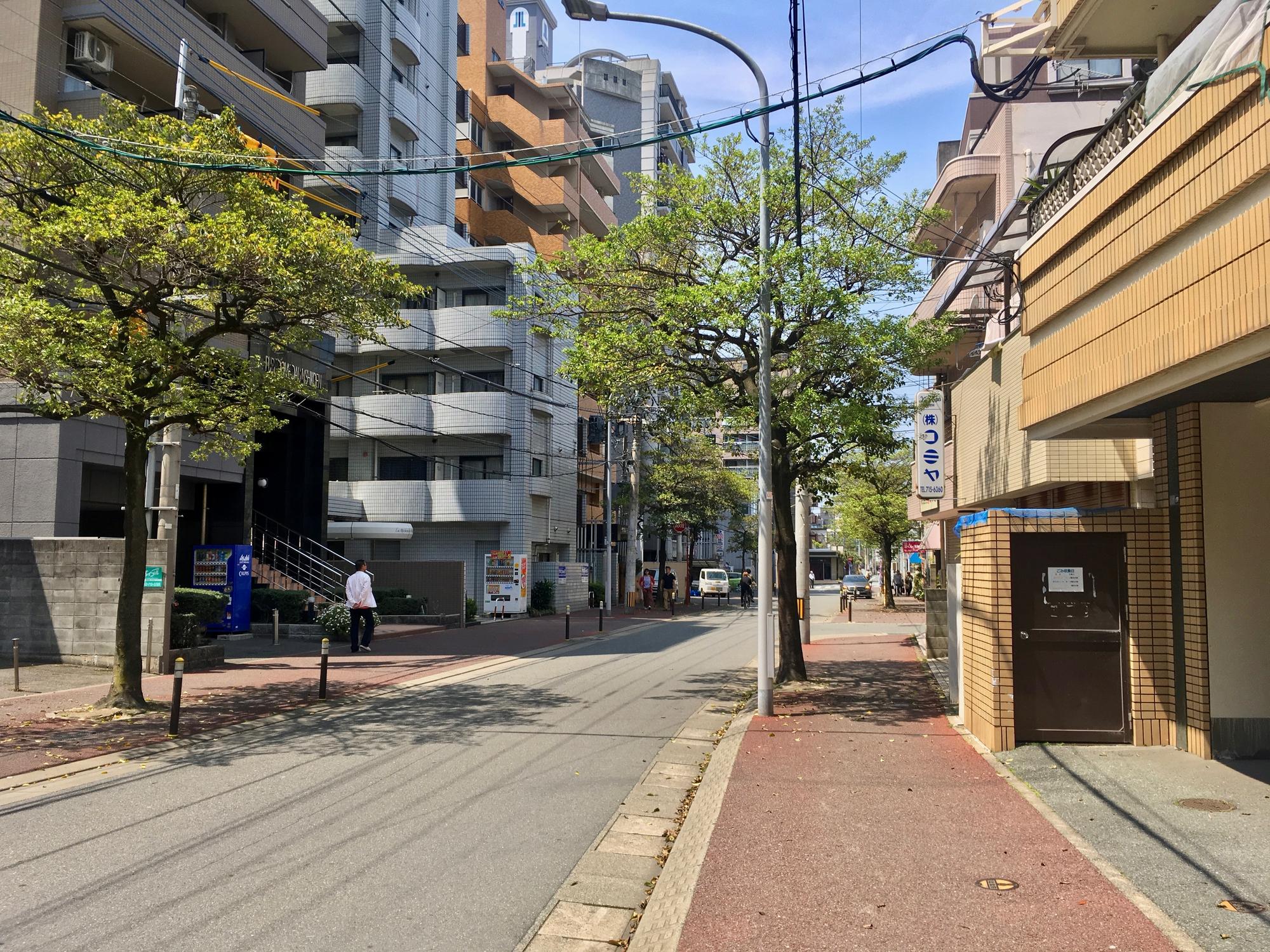 🇯🇵 Fukuoka, Japan, April 2019.