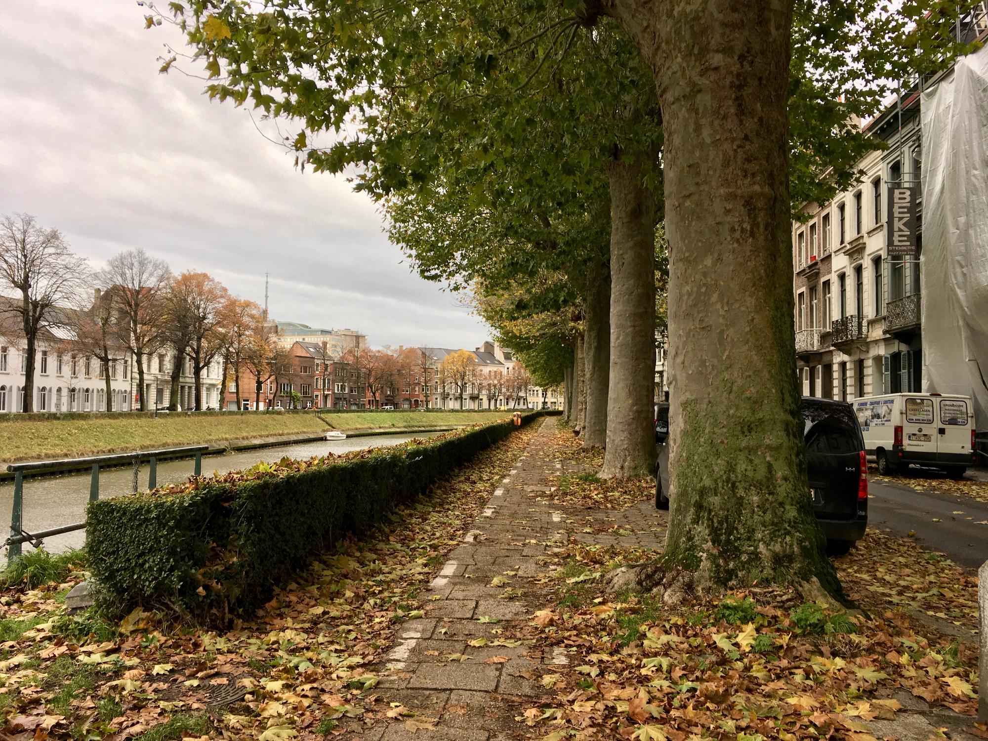 🇧🇪 Ghent, Belgium, November 2016.