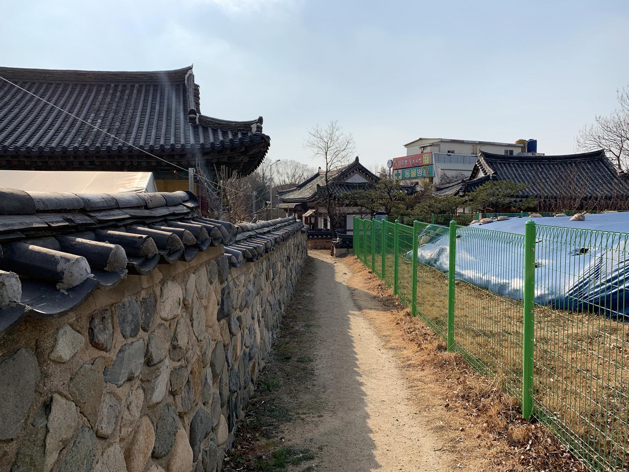 🇰🇷 Кёнджу, Южная Корея, январь 2020.