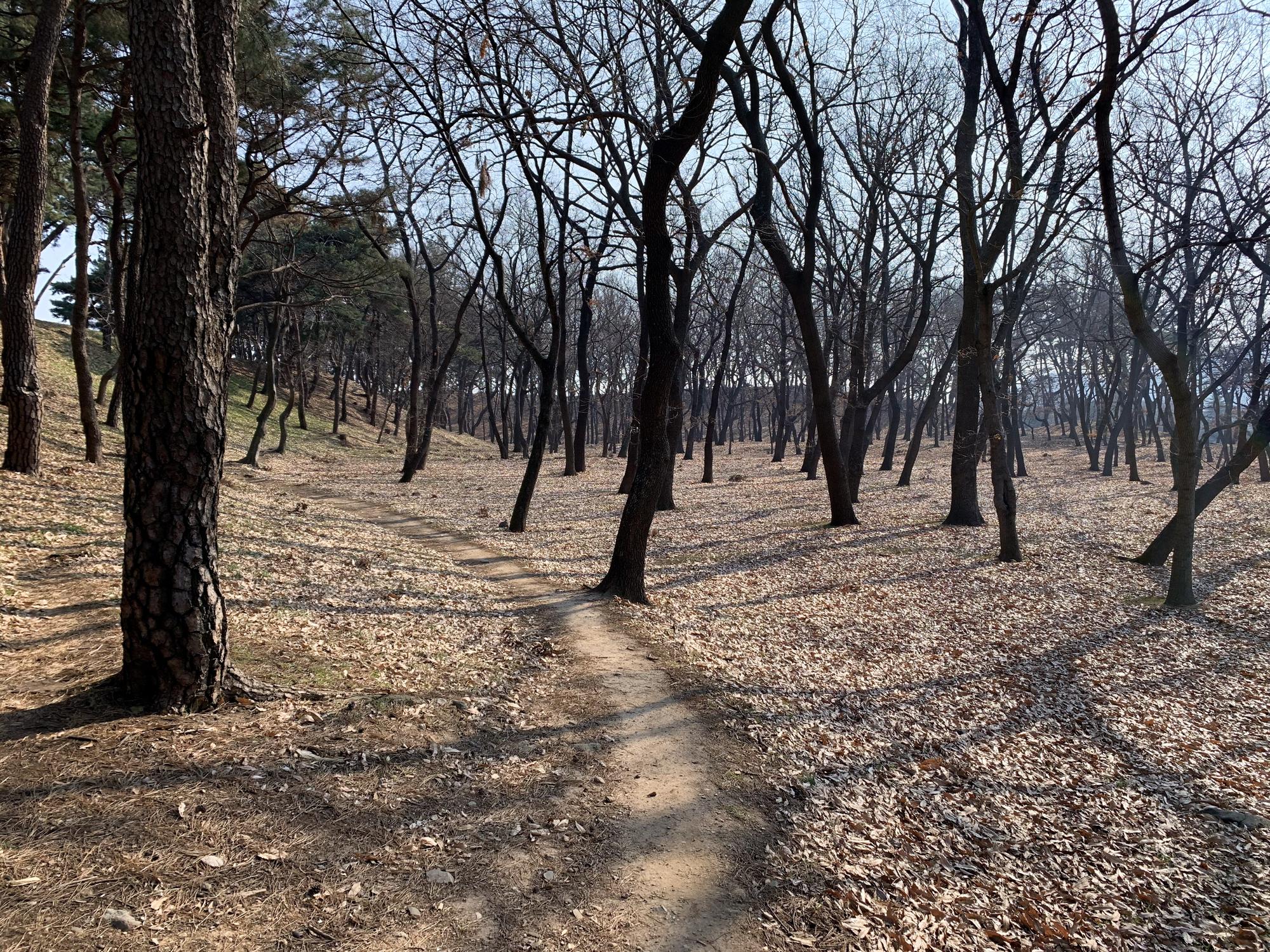 🇰🇷 Gyoengju, South Korea, January 2020.