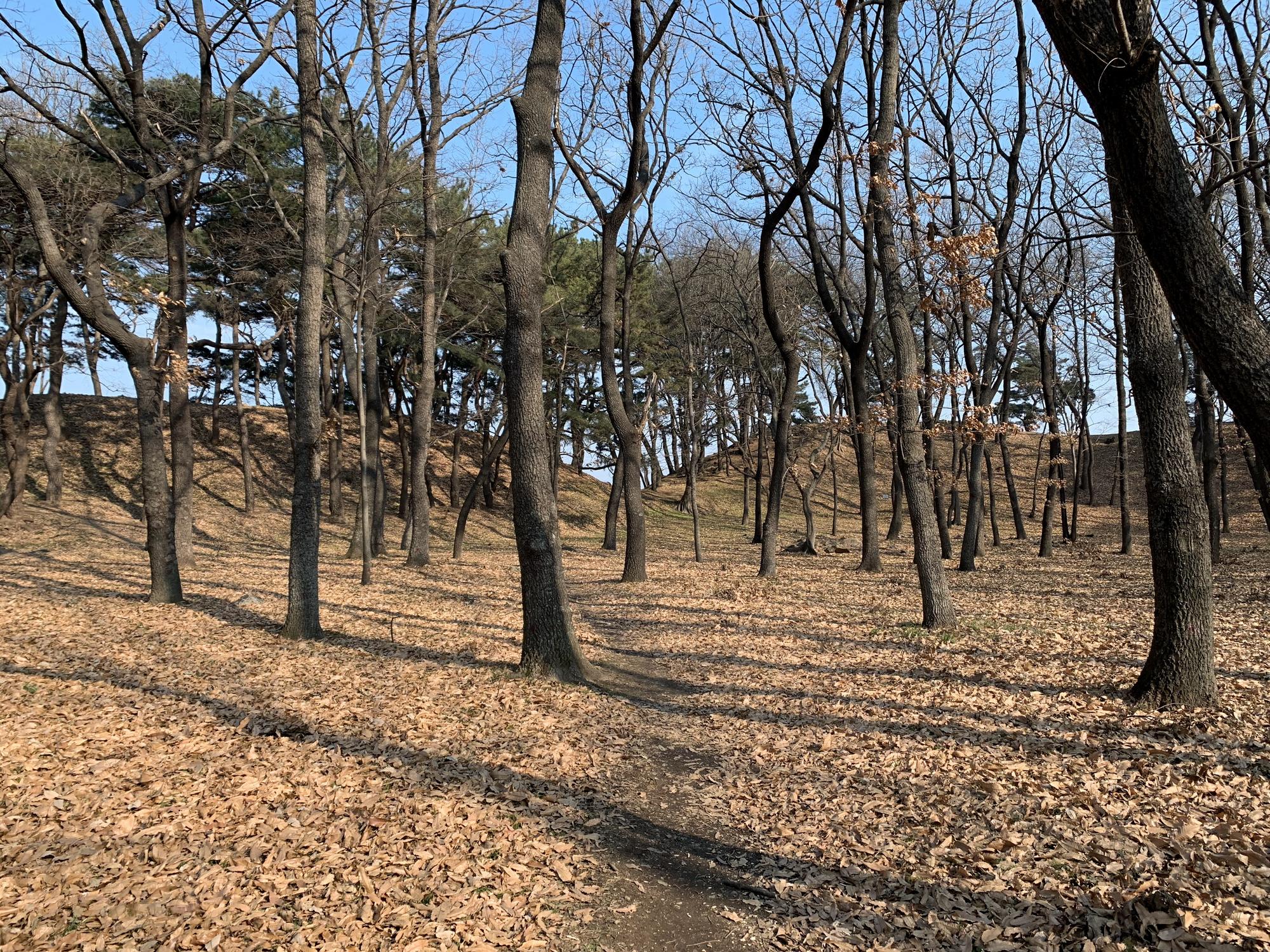 🇰🇷 Кёнджу, Южная Корея, январь 2020.