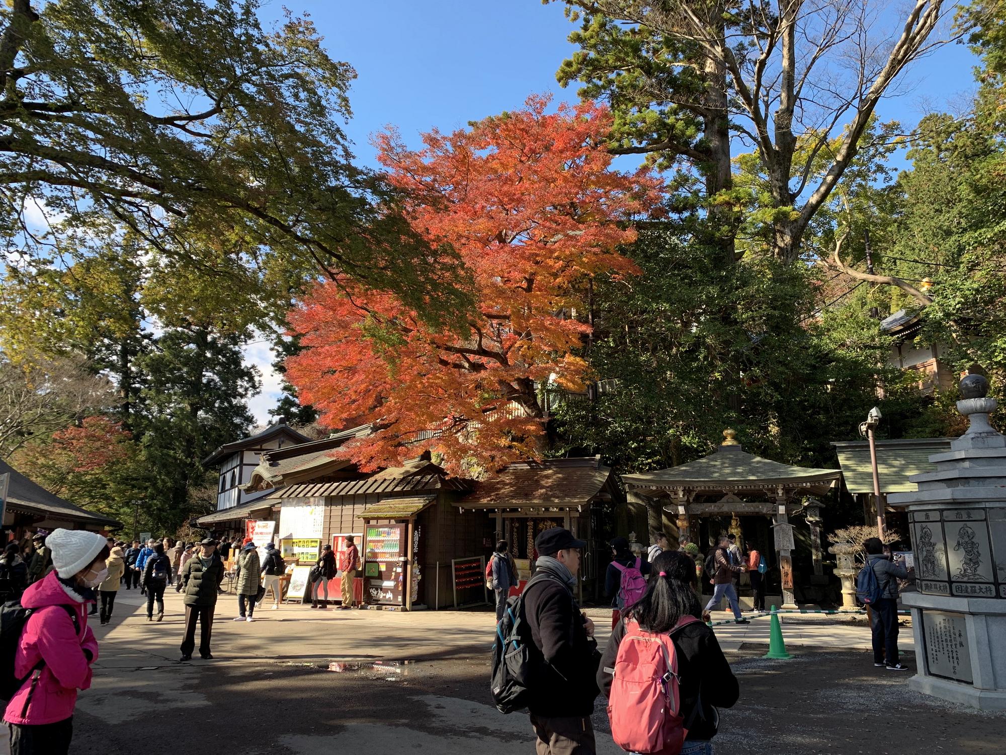 🇯🇵 Hachioji, Japan, November 2019.
