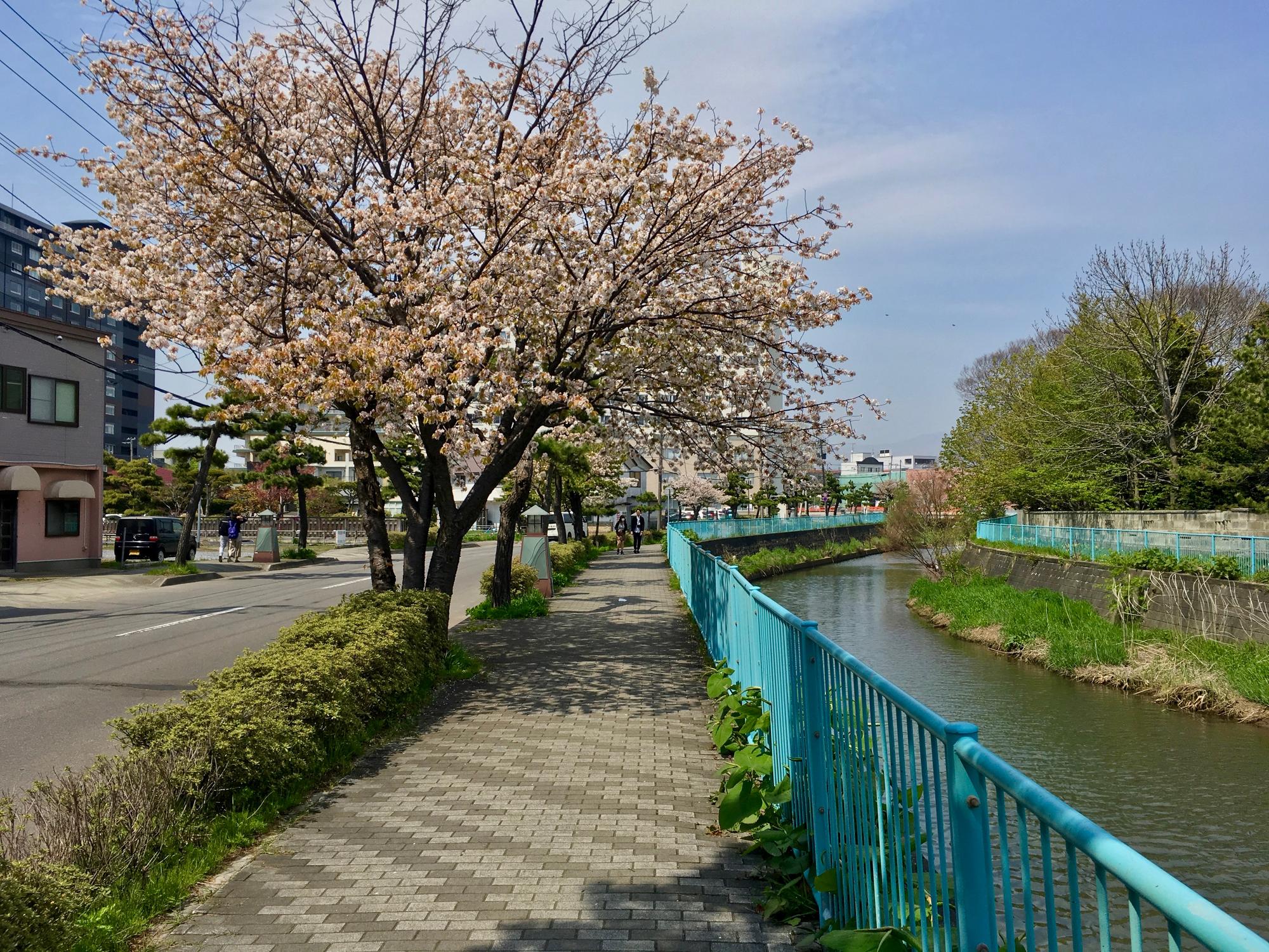 🇯🇵 Hakodate, Japan, May 2018.