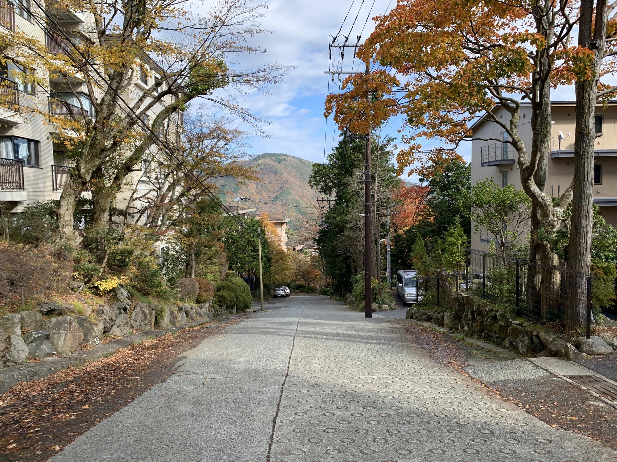 🇯🇵 Хаконе, Япония, ноябрь 2019.