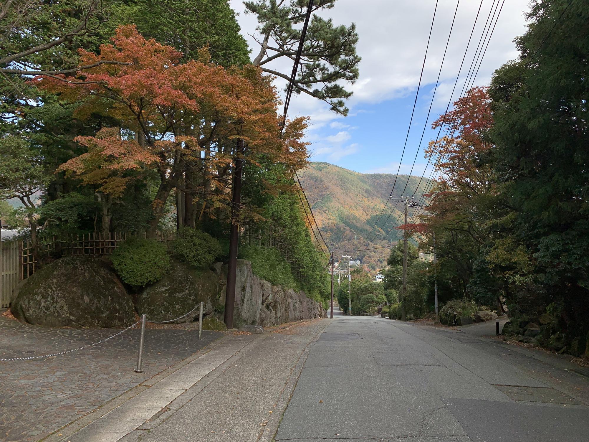 🇯🇵 Хаконе, Япония, ноябрь 2019.