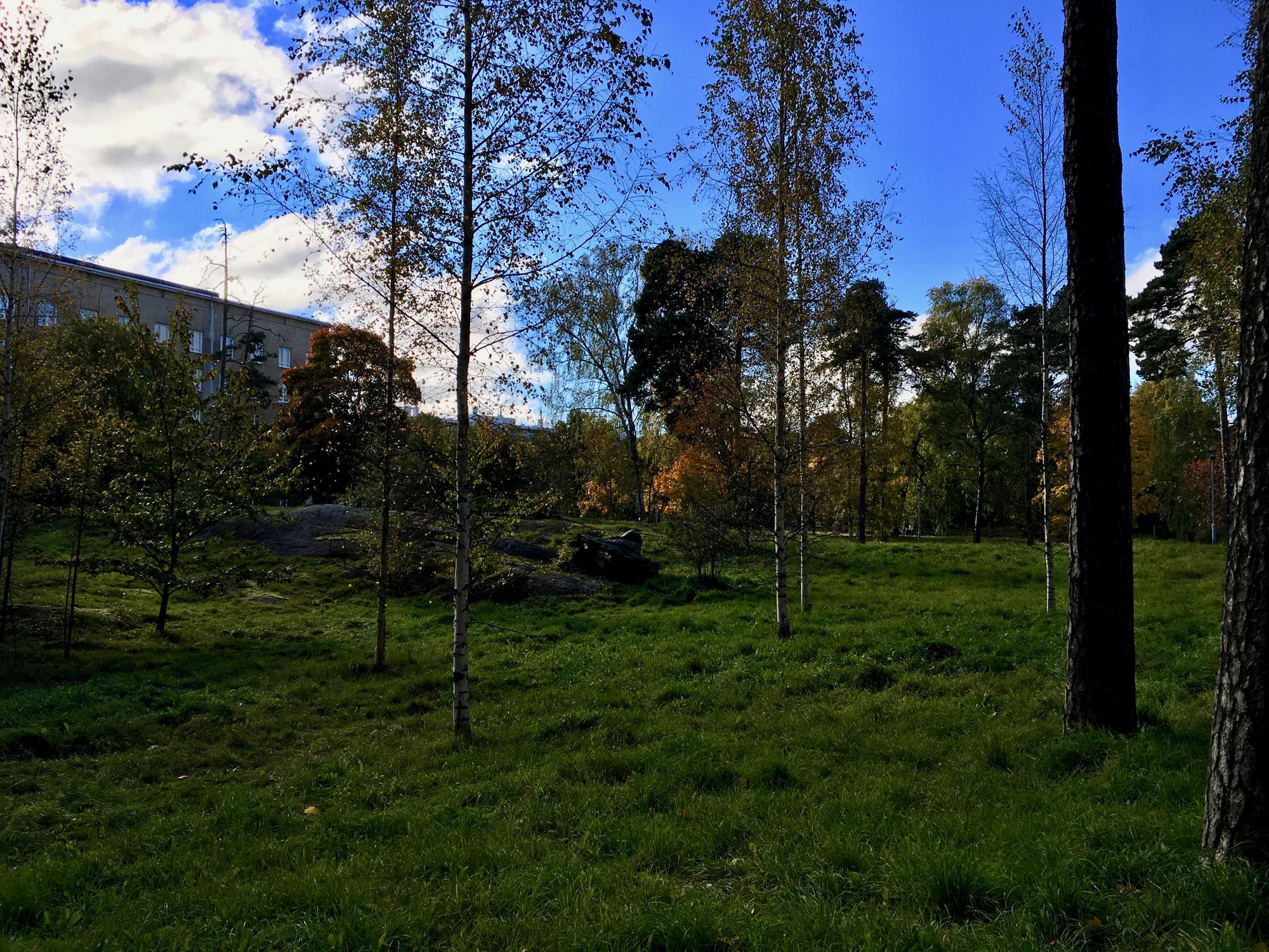 🇫🇮 Helsinki, Finland, October 2016.