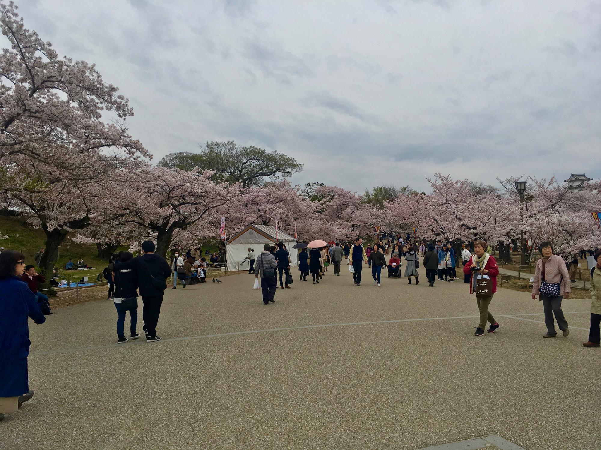 🇯🇵 Himeji, Japan, April 2017.