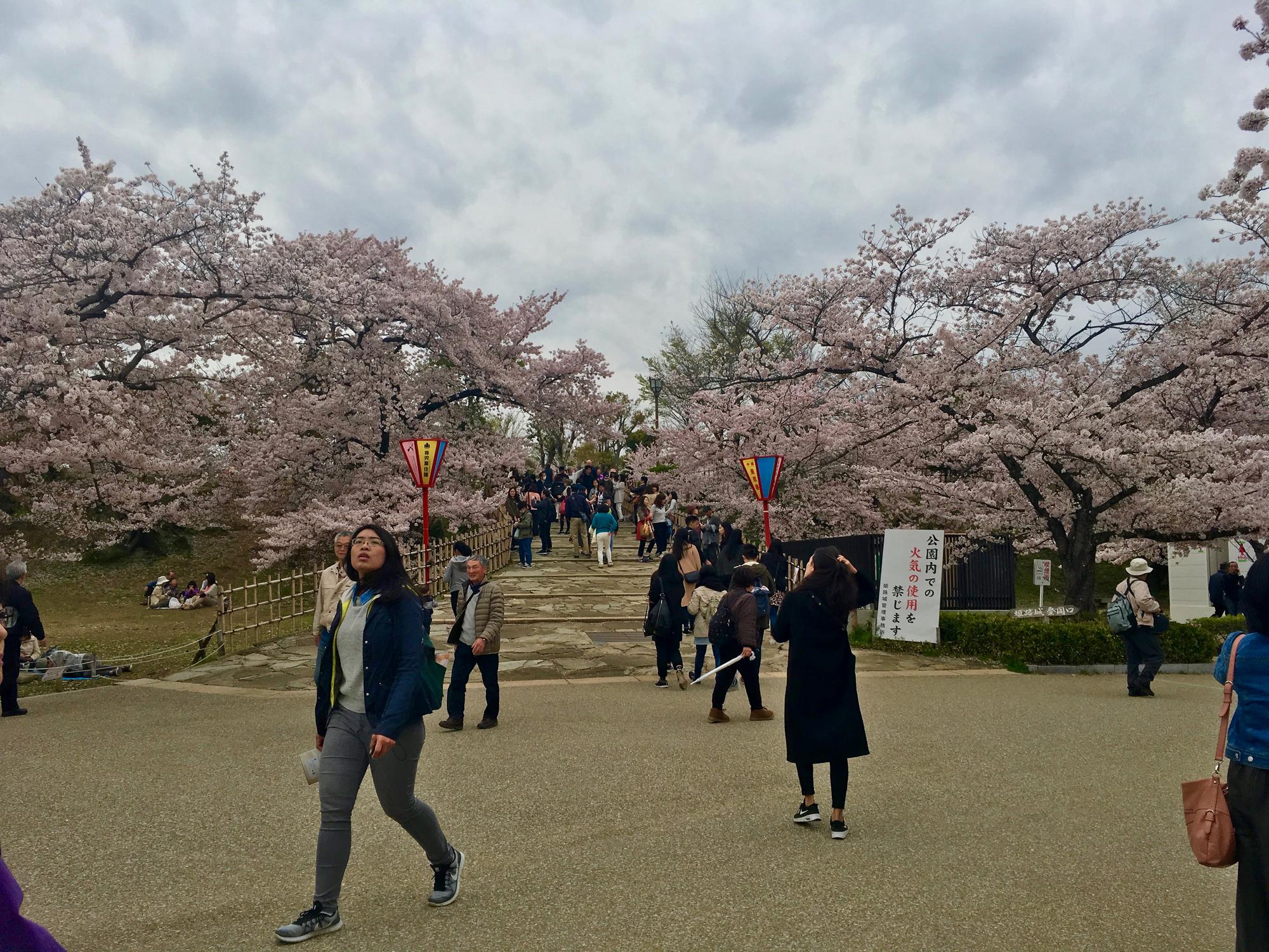 🇯🇵 Himeji, Japan, April 2017.