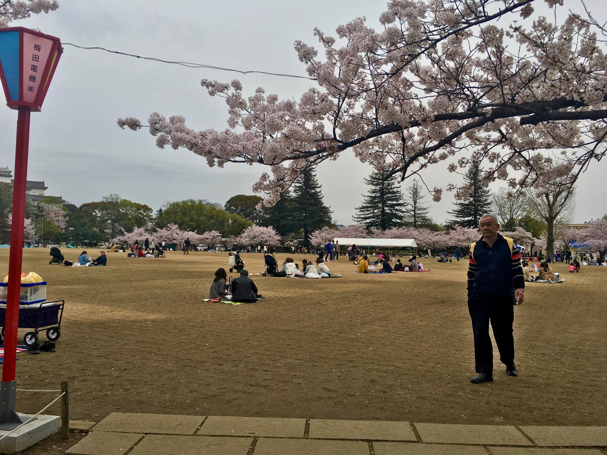 🇯🇵 Himeji, Japan, April 2017.