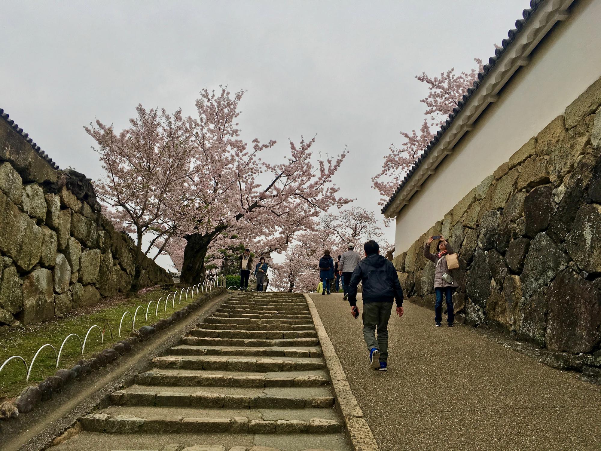 🇯🇵 Himeji, Japan, April 2017.