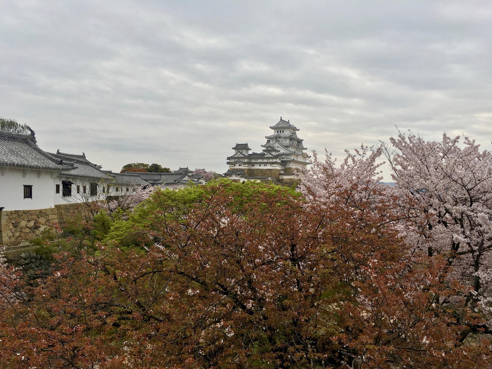 🇯🇵 Himeji, Japan, April 2017.