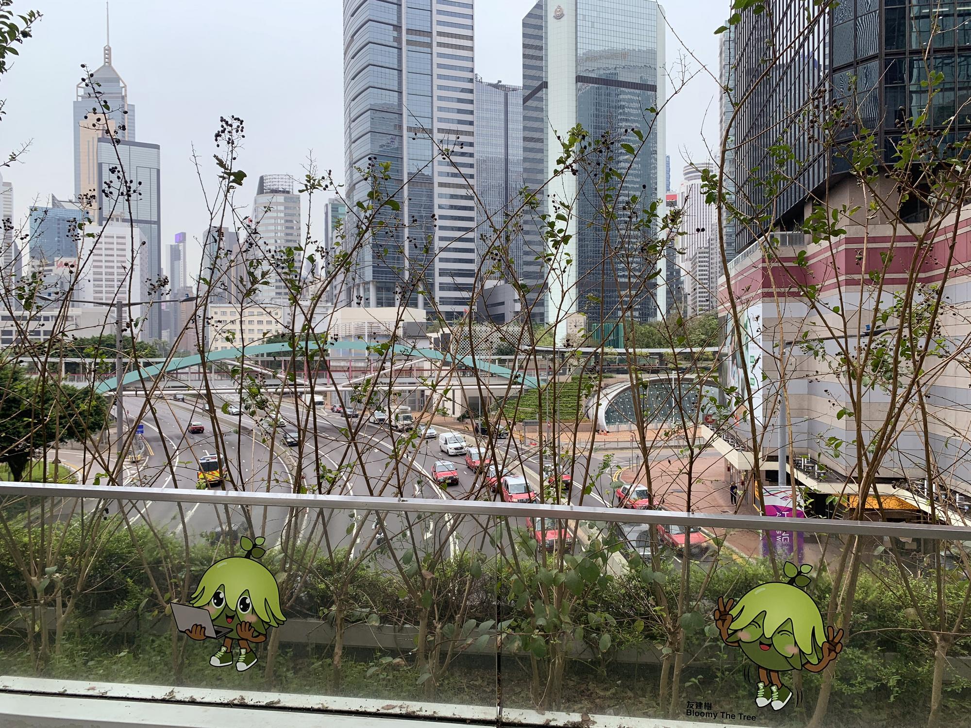🇭🇰 Гонконг, Гонконг, сентябрь 2023.