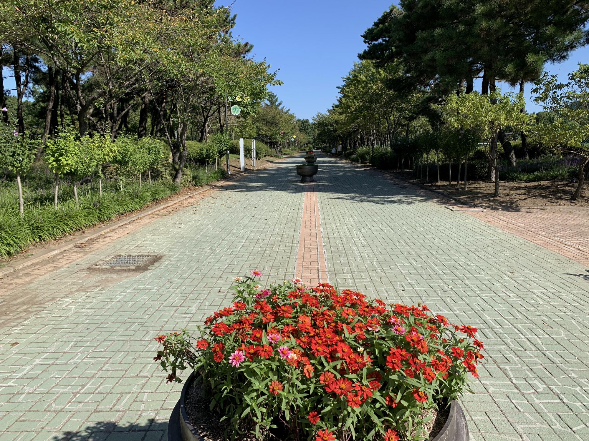 🇰🇷 Инчхон, Южная Корея, сентябрь 2023.