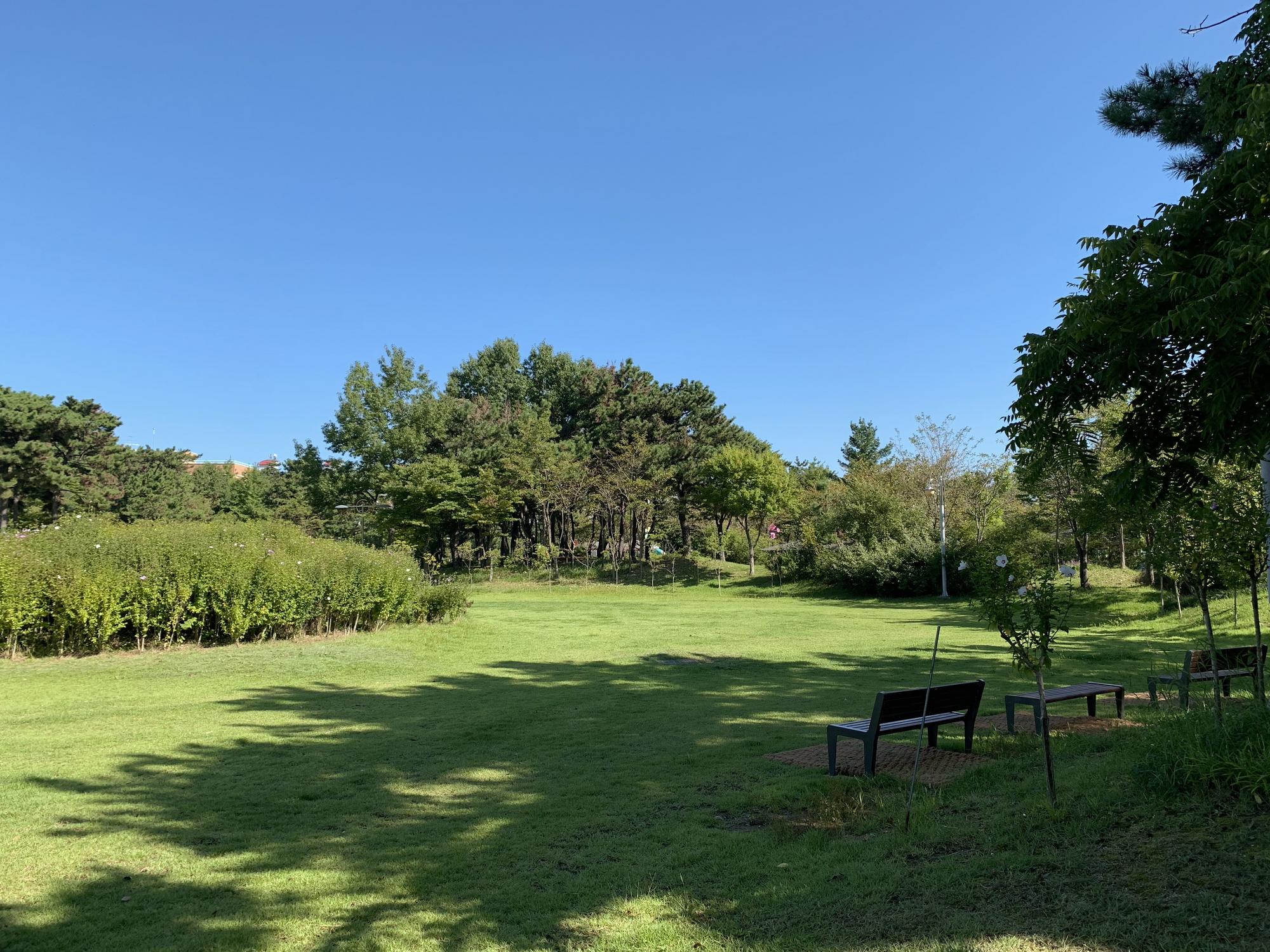 🇰🇷 Инчхон, Южная Корея, сентябрь 2023.