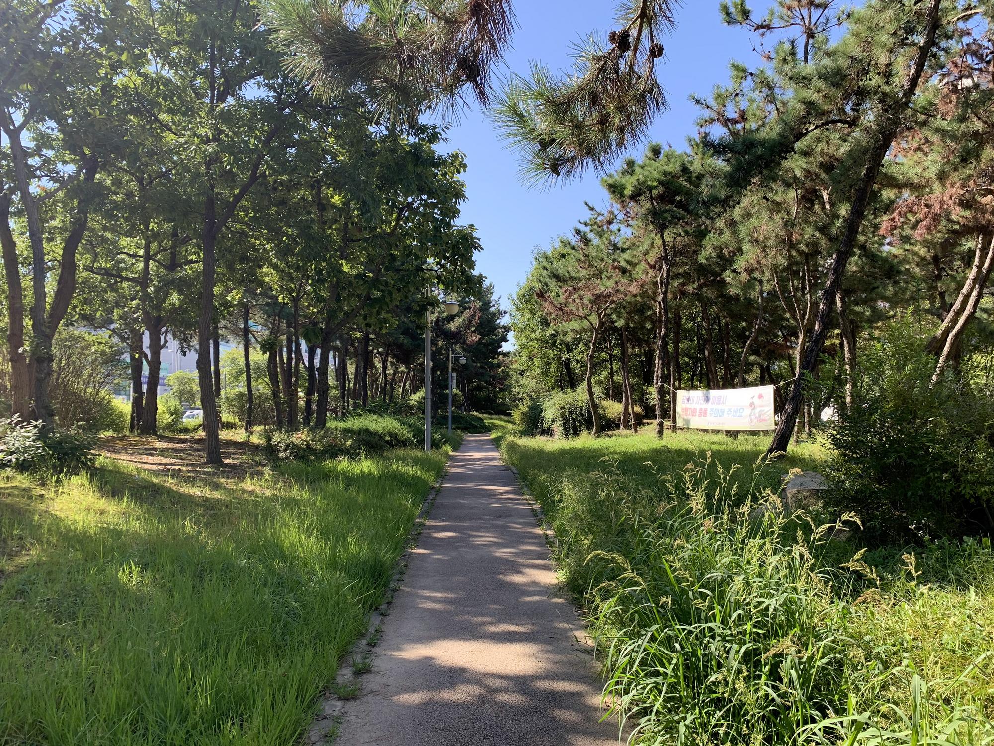 🇰🇷 Инчхон, Южная Корея, сентябрь 2023.