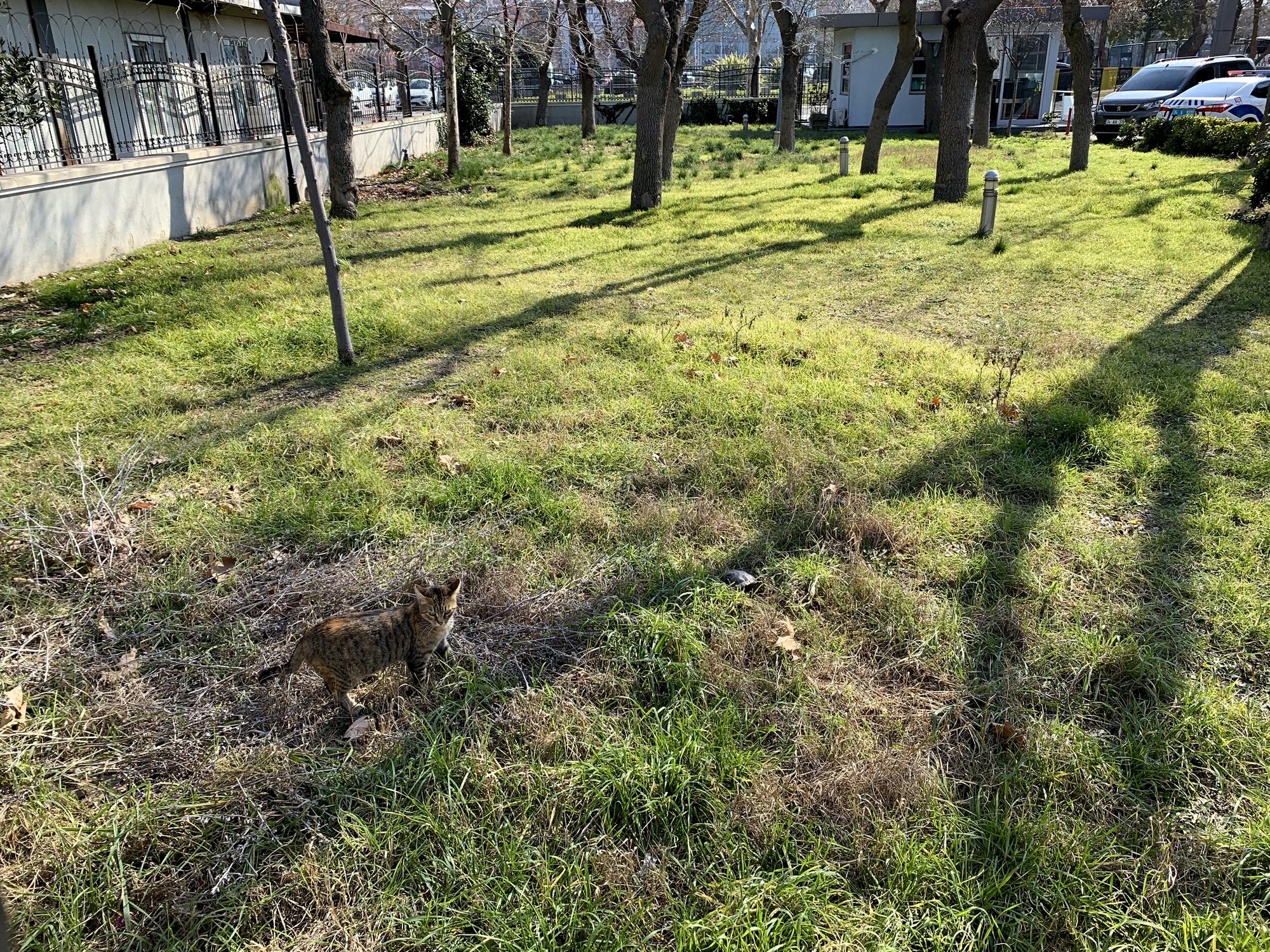 🇹🇷 Стамбул, Турция, февраль 2023.