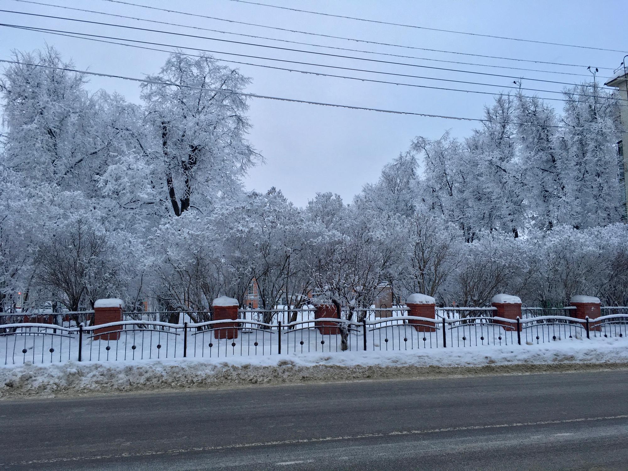🇷🇺 Kaluga, Russia, January 2017.