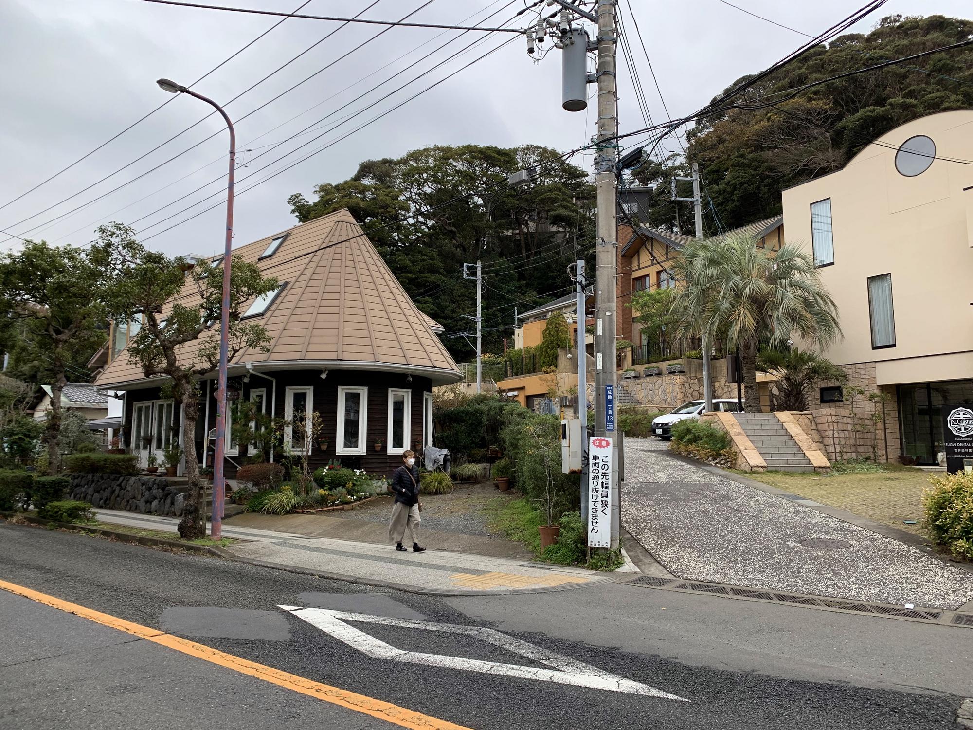 🇯🇵 Kamakura, Japan, November 2019.