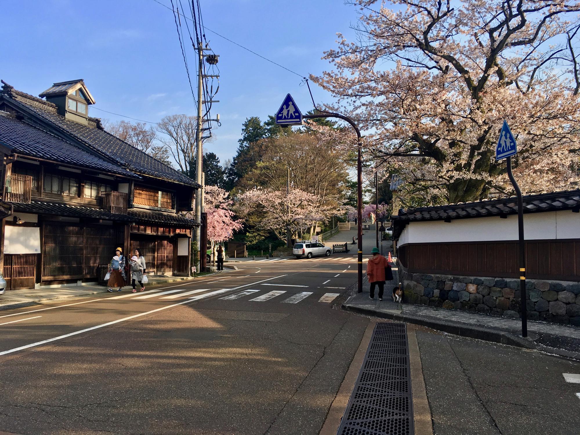 🇯🇵 Kanazawa, Japan, April 2017.