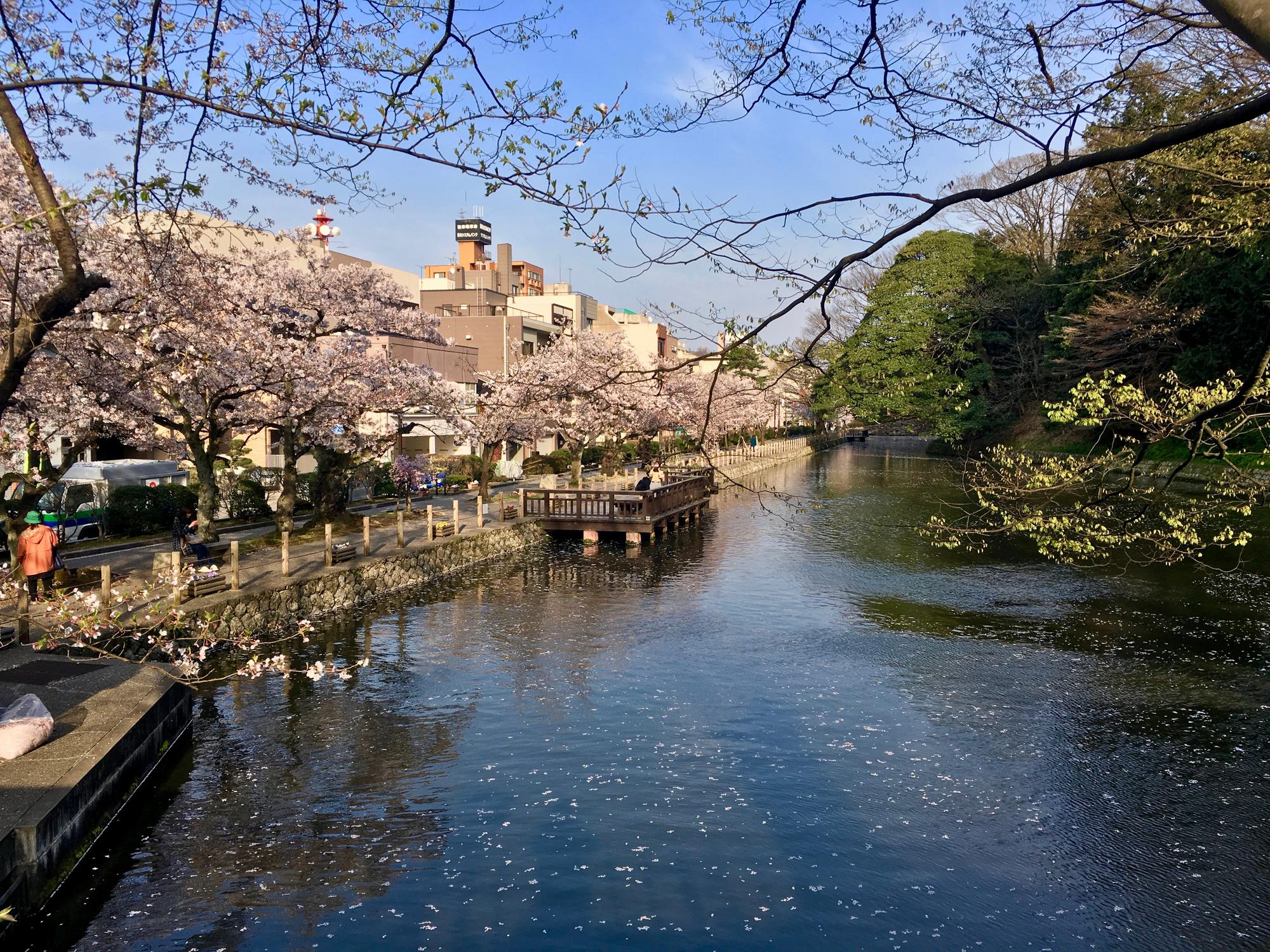 🇯🇵 Kanazawa, Japan, April 2017.