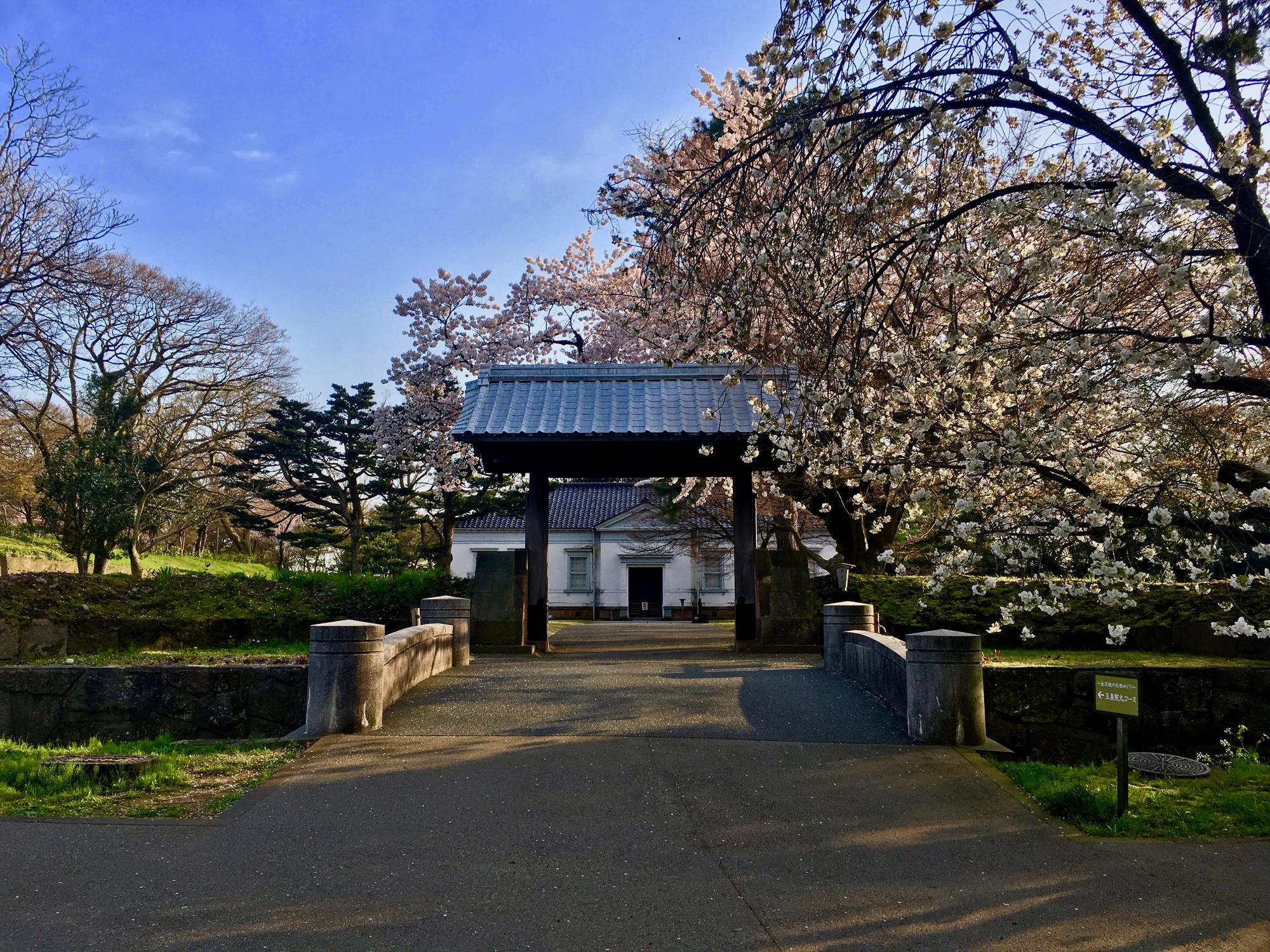 🇯🇵 Kanazawa, Japan, April 2017.