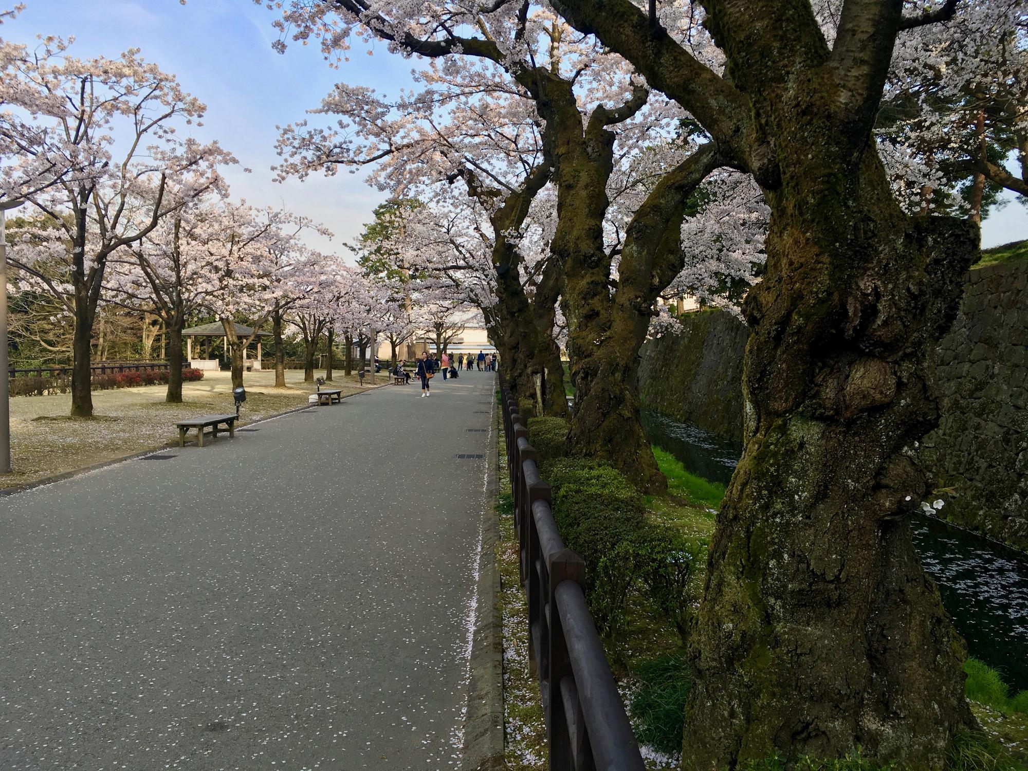 🇯🇵 Kanazawa, Japan, April 2017.