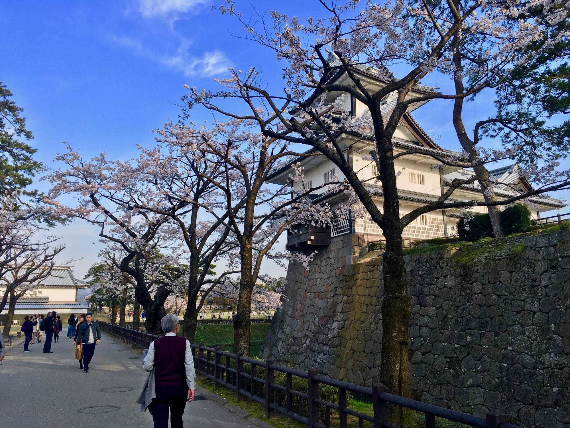 🇯🇵 Kanazawa, Japan, April 2017.