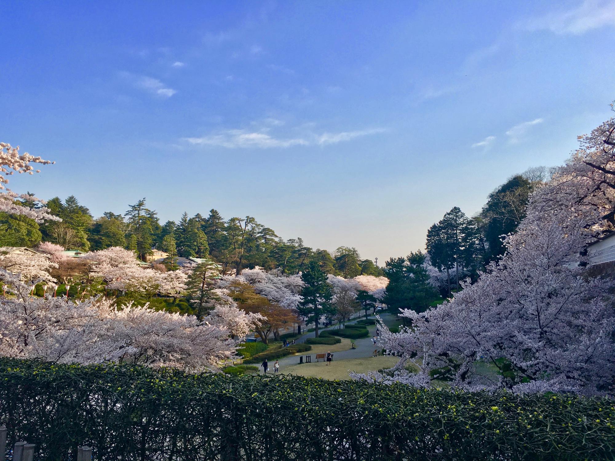 🇯🇵 Kanazawa, Japan, April 2017.