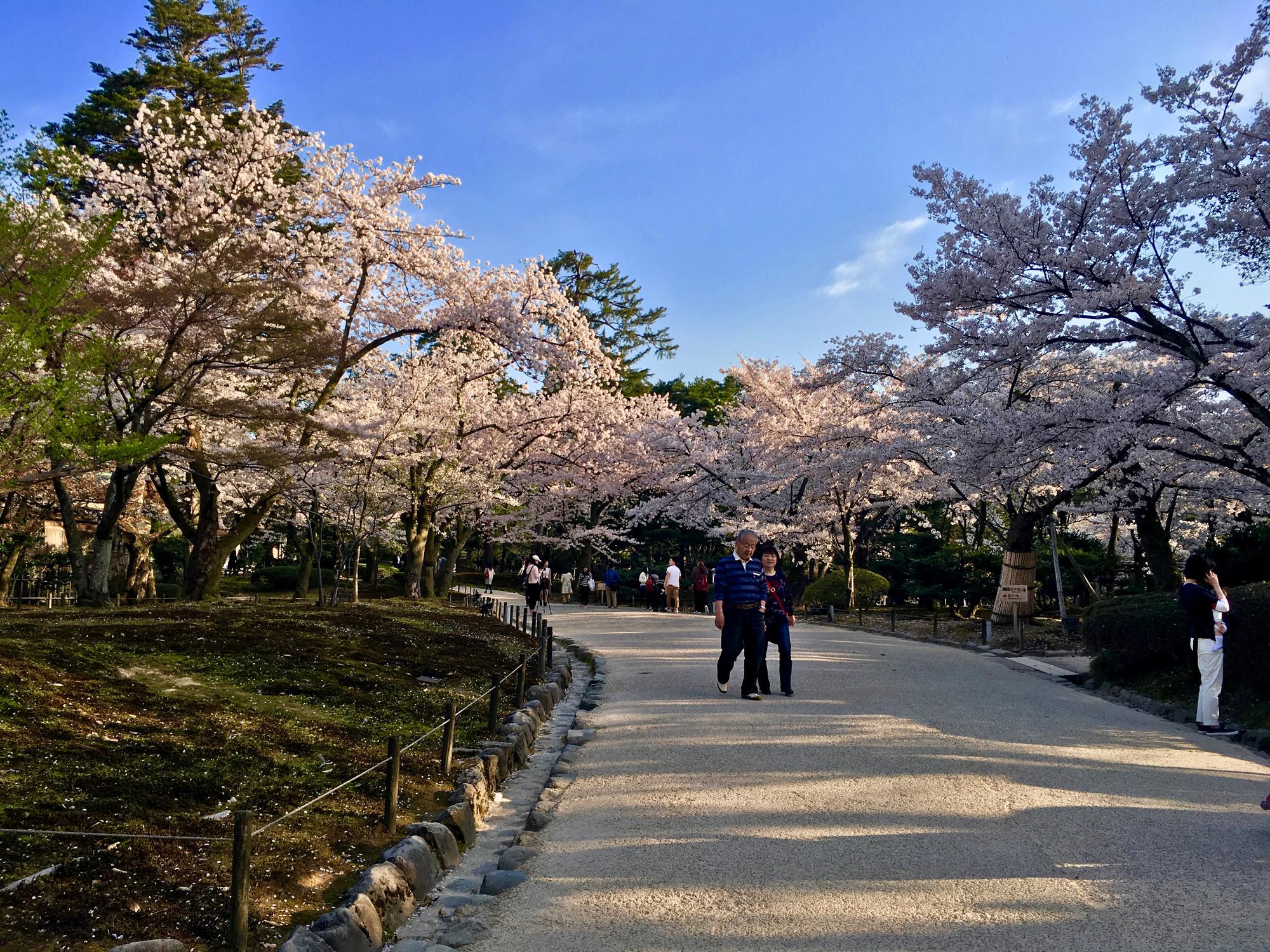 🇯🇵 Kanazawa, Japan, April 2017.