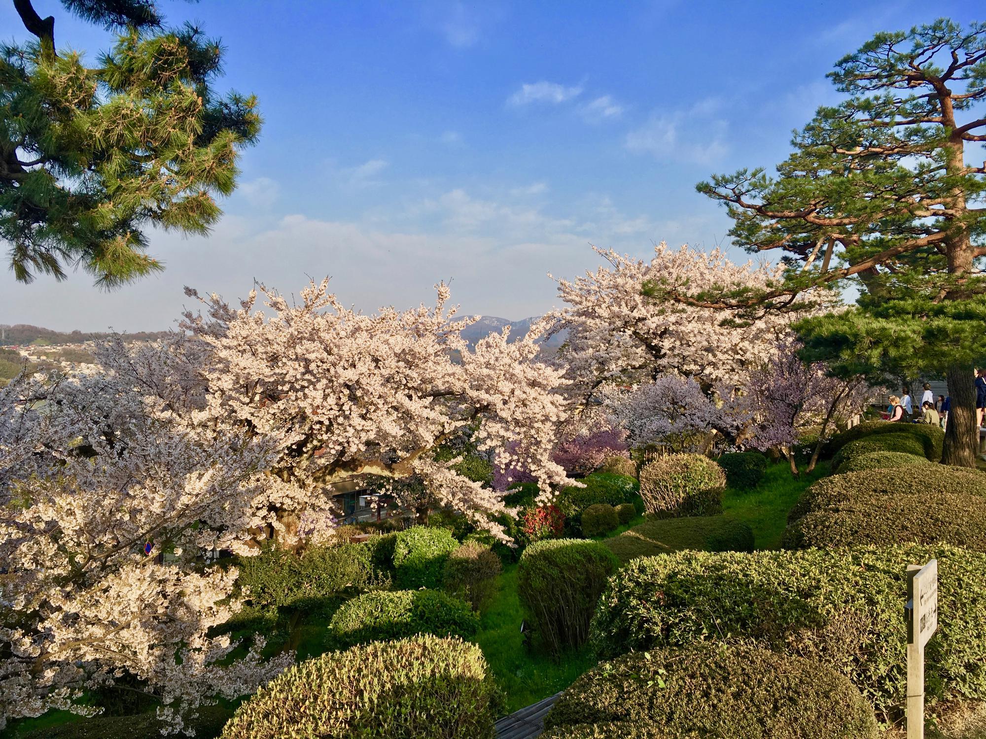 🇯🇵 Kanazawa, Japan, April 2017.