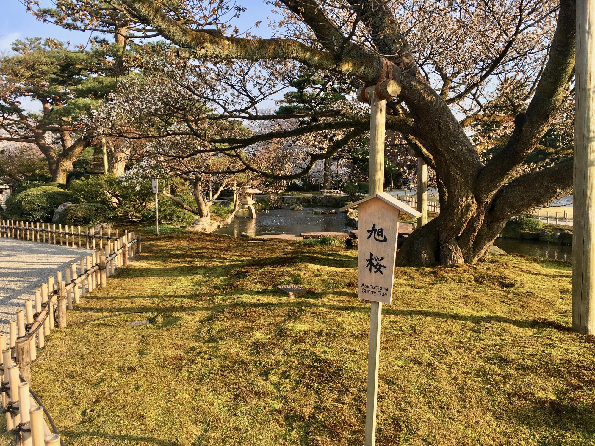 🇯🇵 Kanazawa, Japan, April 2017.