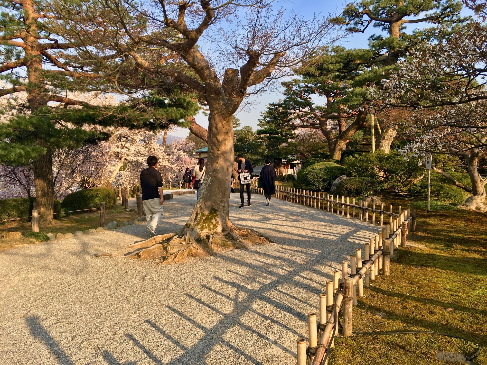 🇯🇵 Kanazawa, Japan, April 2017.