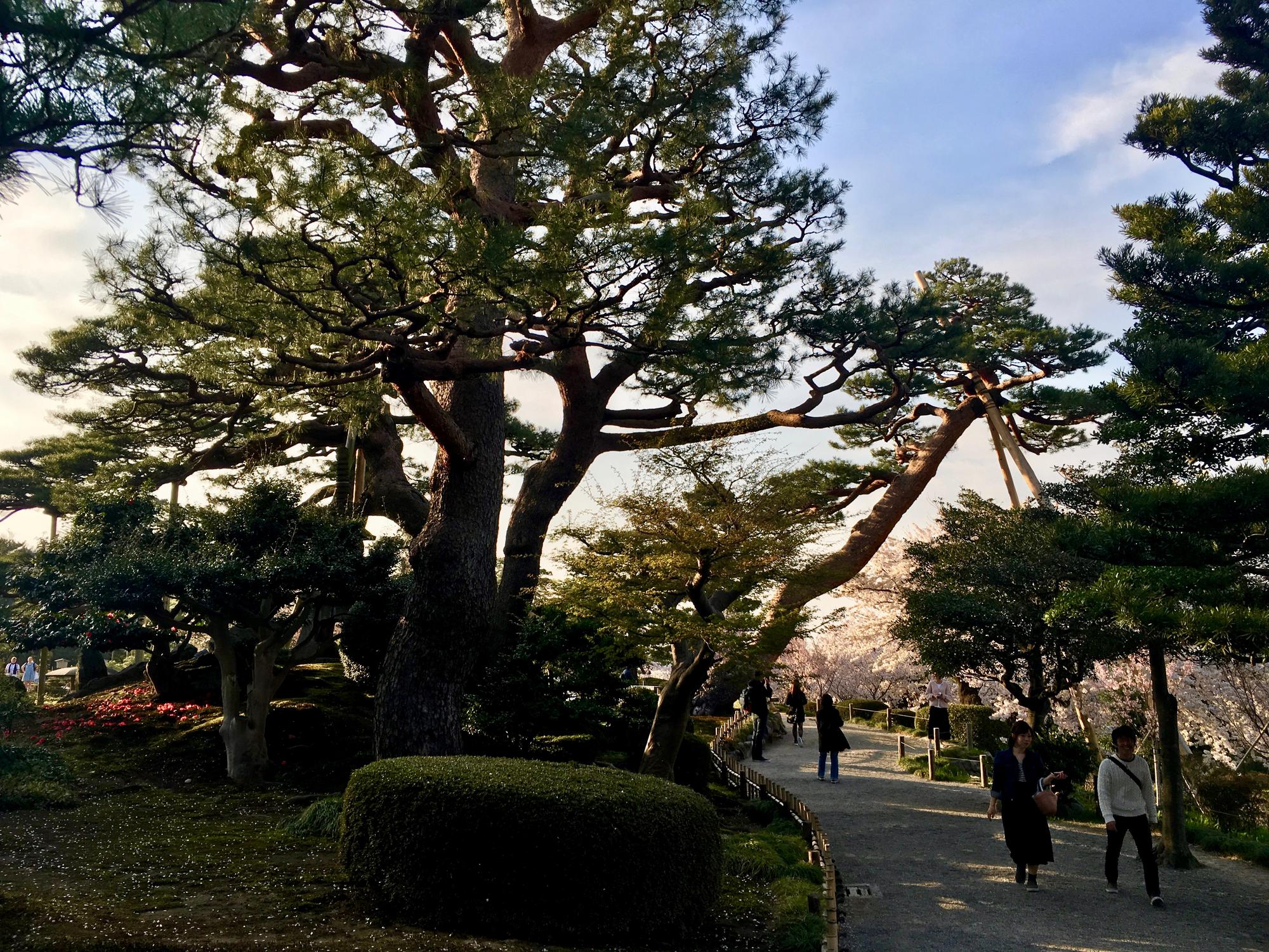 🇯🇵 Kanazawa, Japan, April 2017.