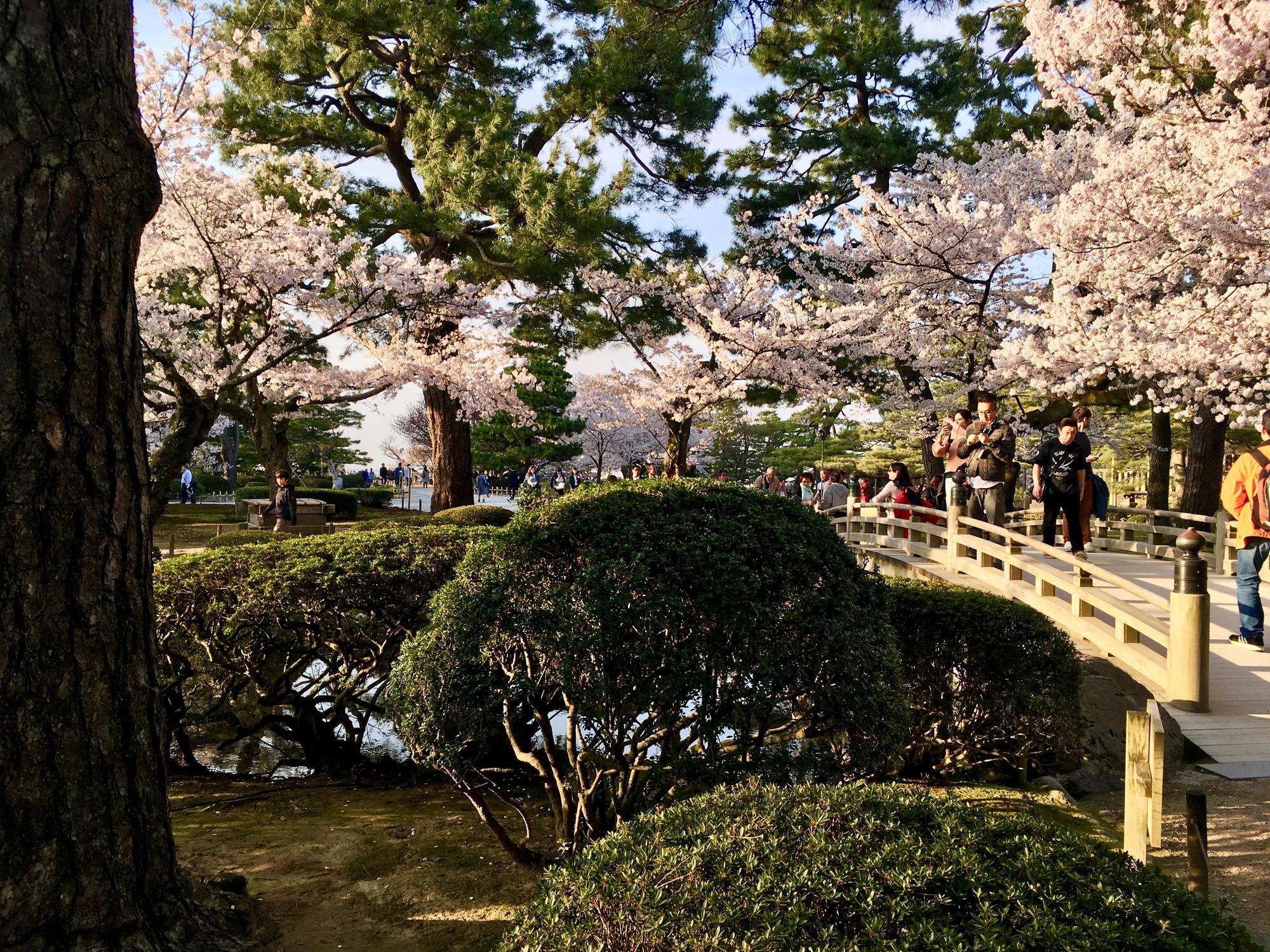 🇯🇵 Kanazawa, Japan, April 2017.