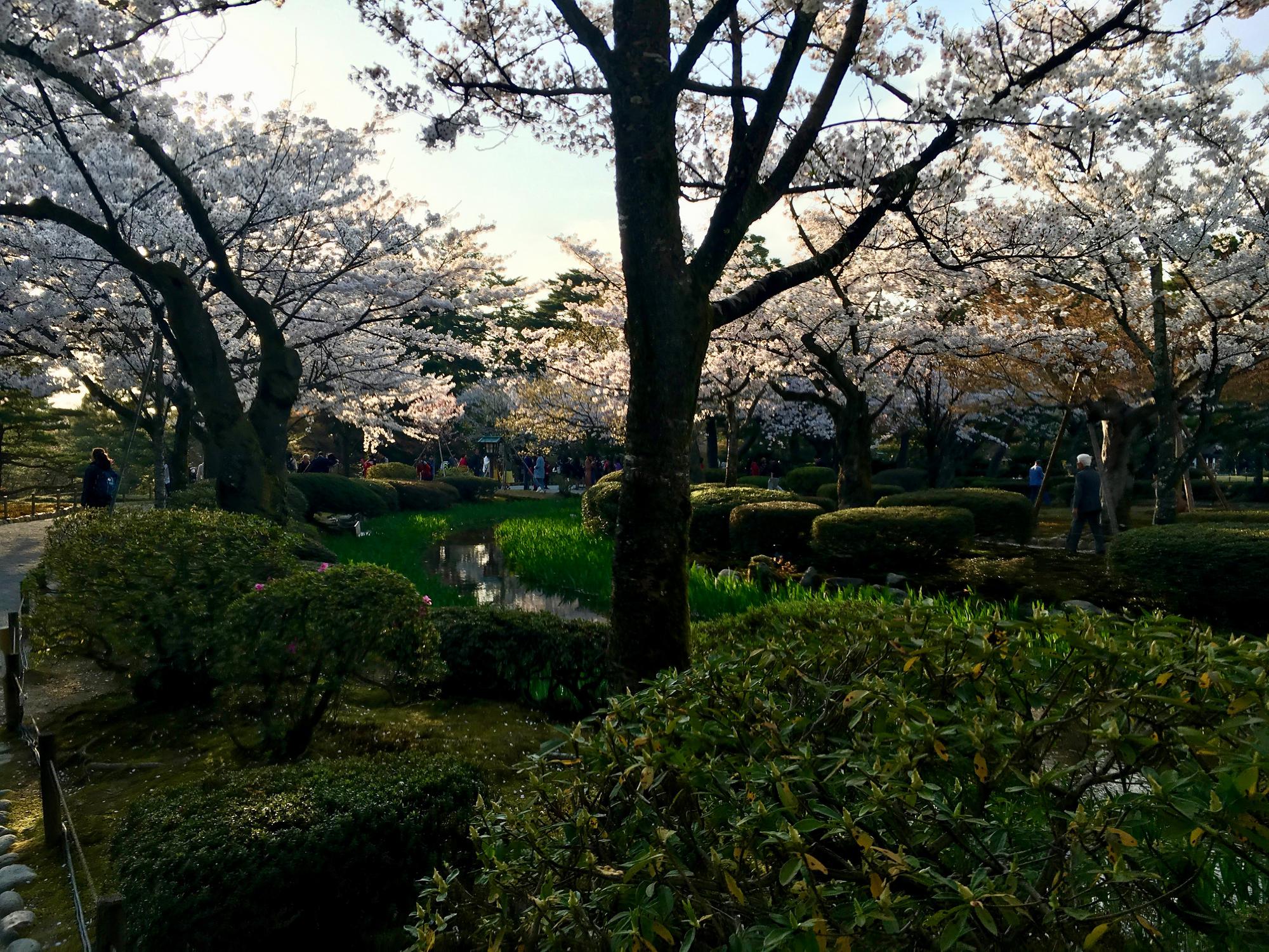 🇯🇵 Kanazawa, Japan, April 2017.