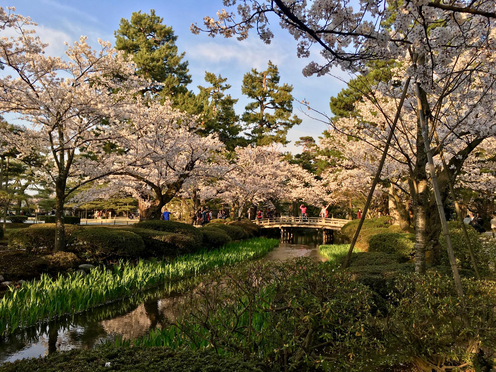 🇯🇵 Kanazawa, Japan, April 2017.