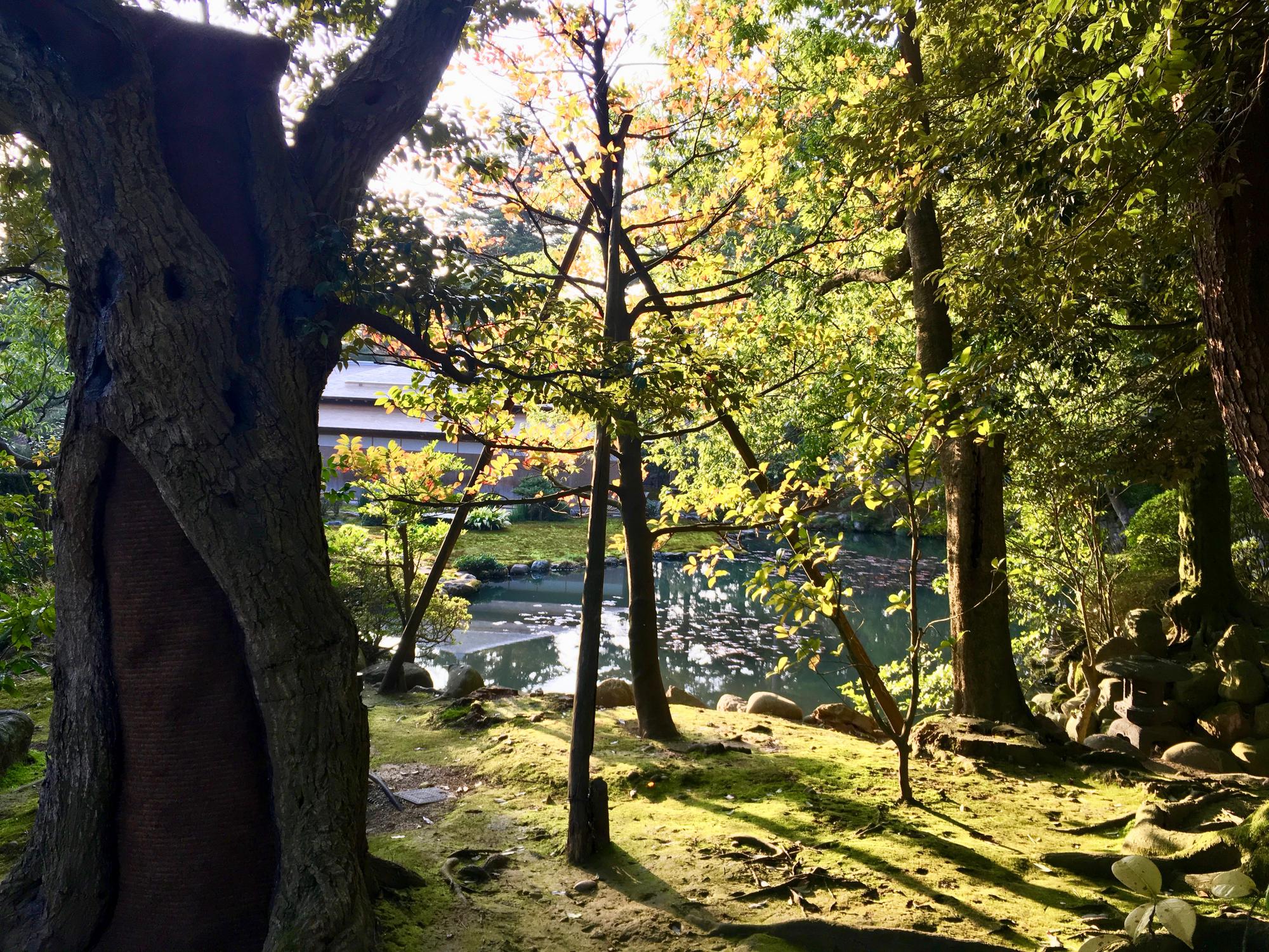 🇯🇵 Kanazawa, Japan, April 2017.