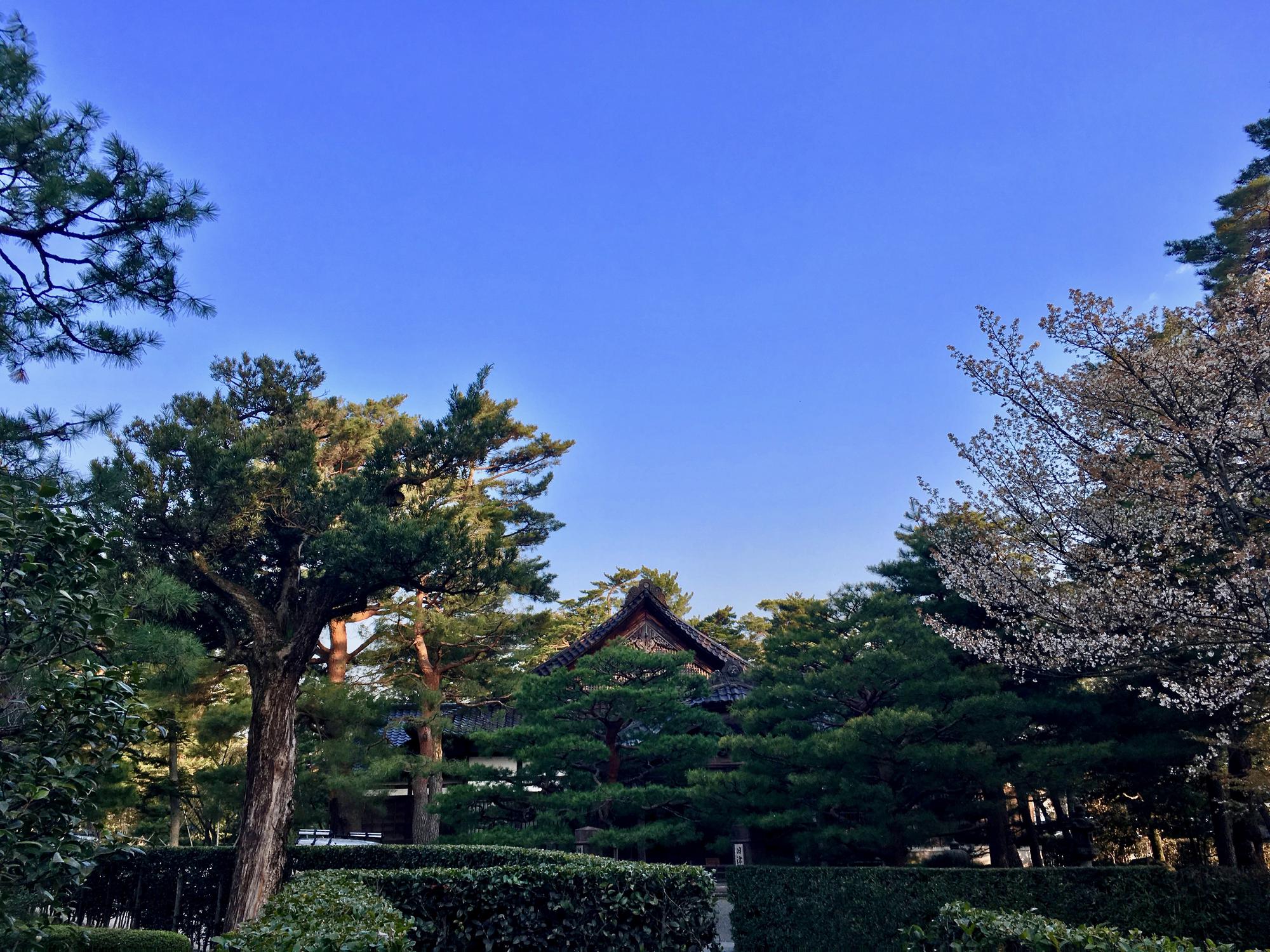 🇯🇵 Kanazawa, Japan, April 2017.