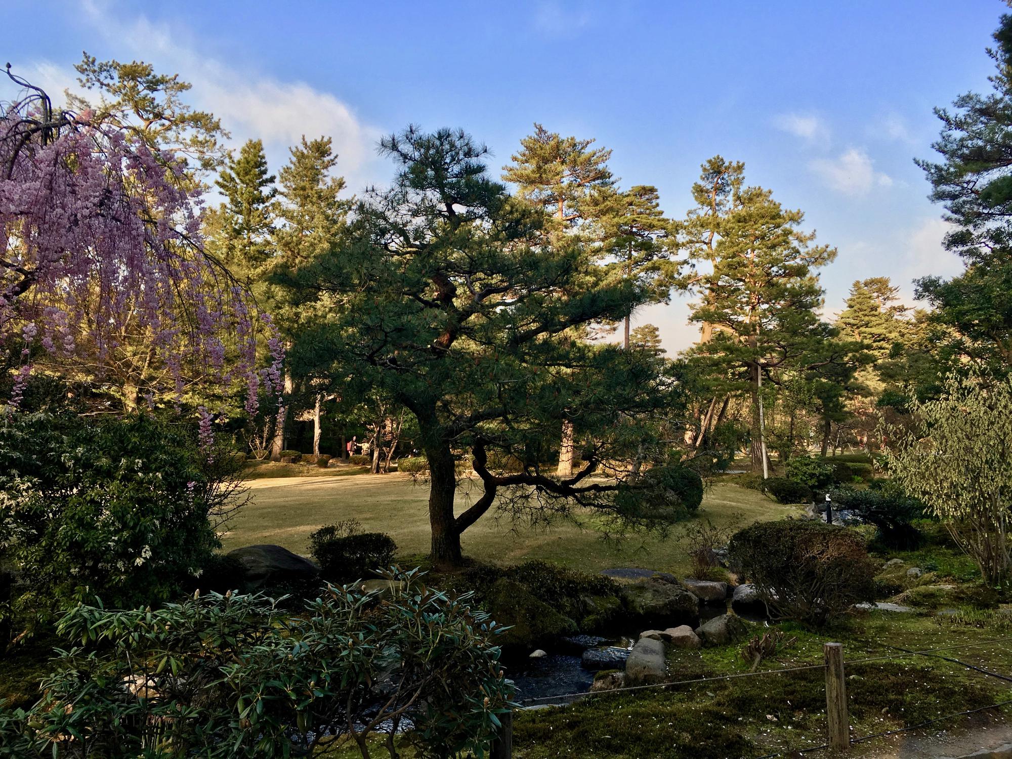 🇯🇵 Kanazawa, Japan, April 2017.