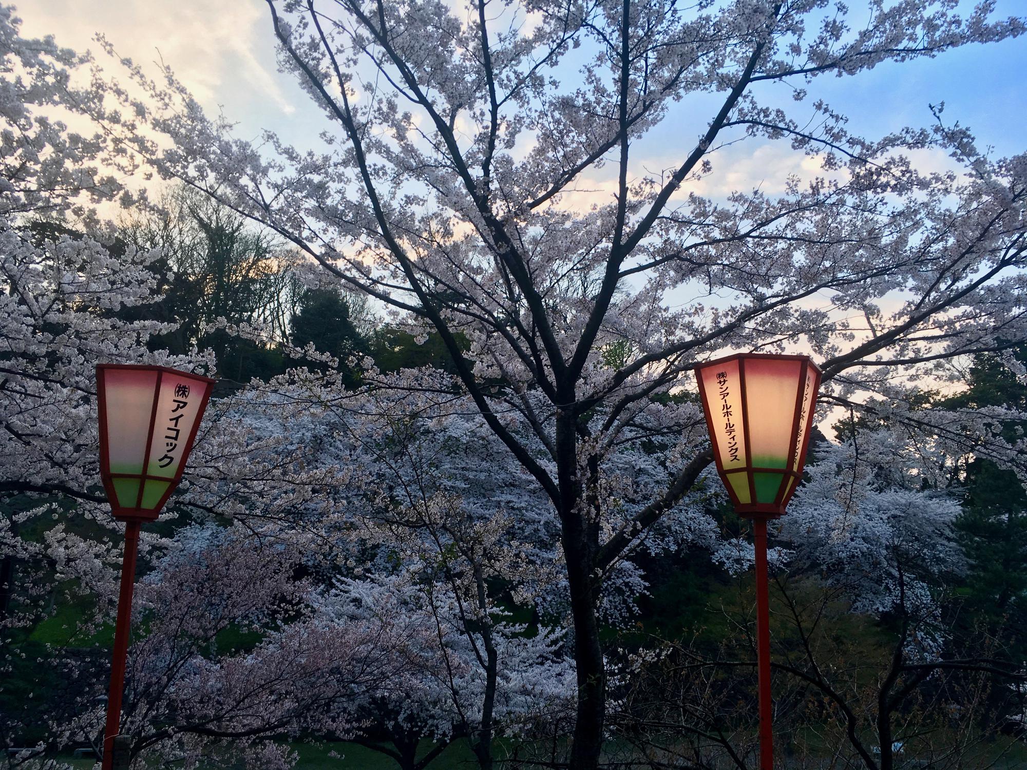 🇯🇵 Kanazawa, Japan, April 2017.