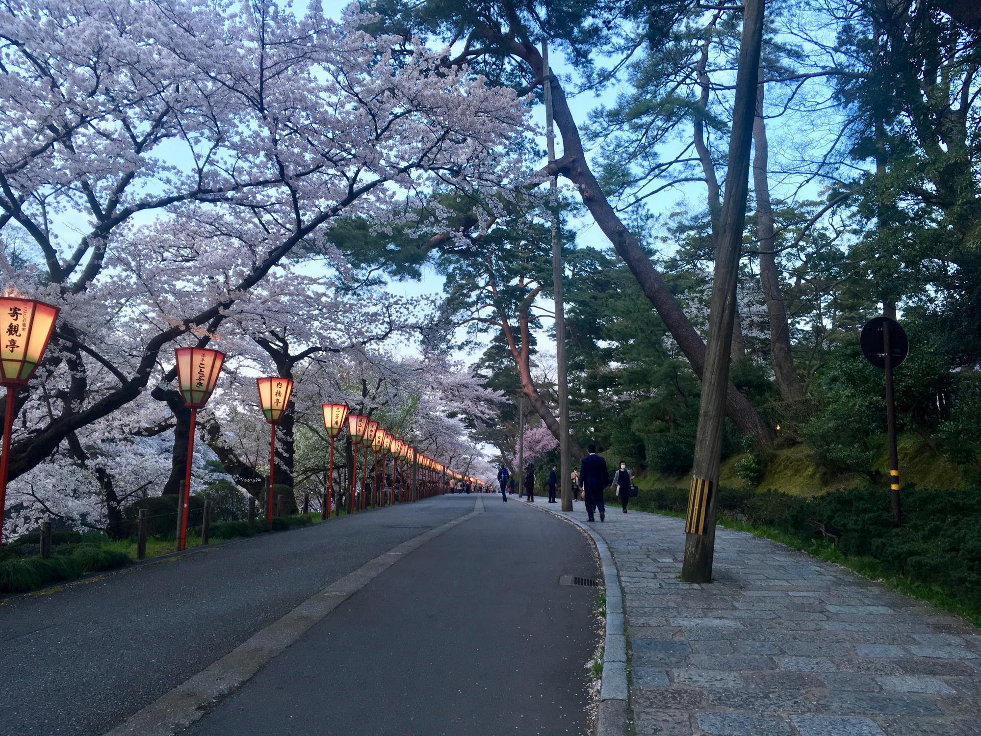 🇯🇵 Kanazawa, Japan, April 2017.