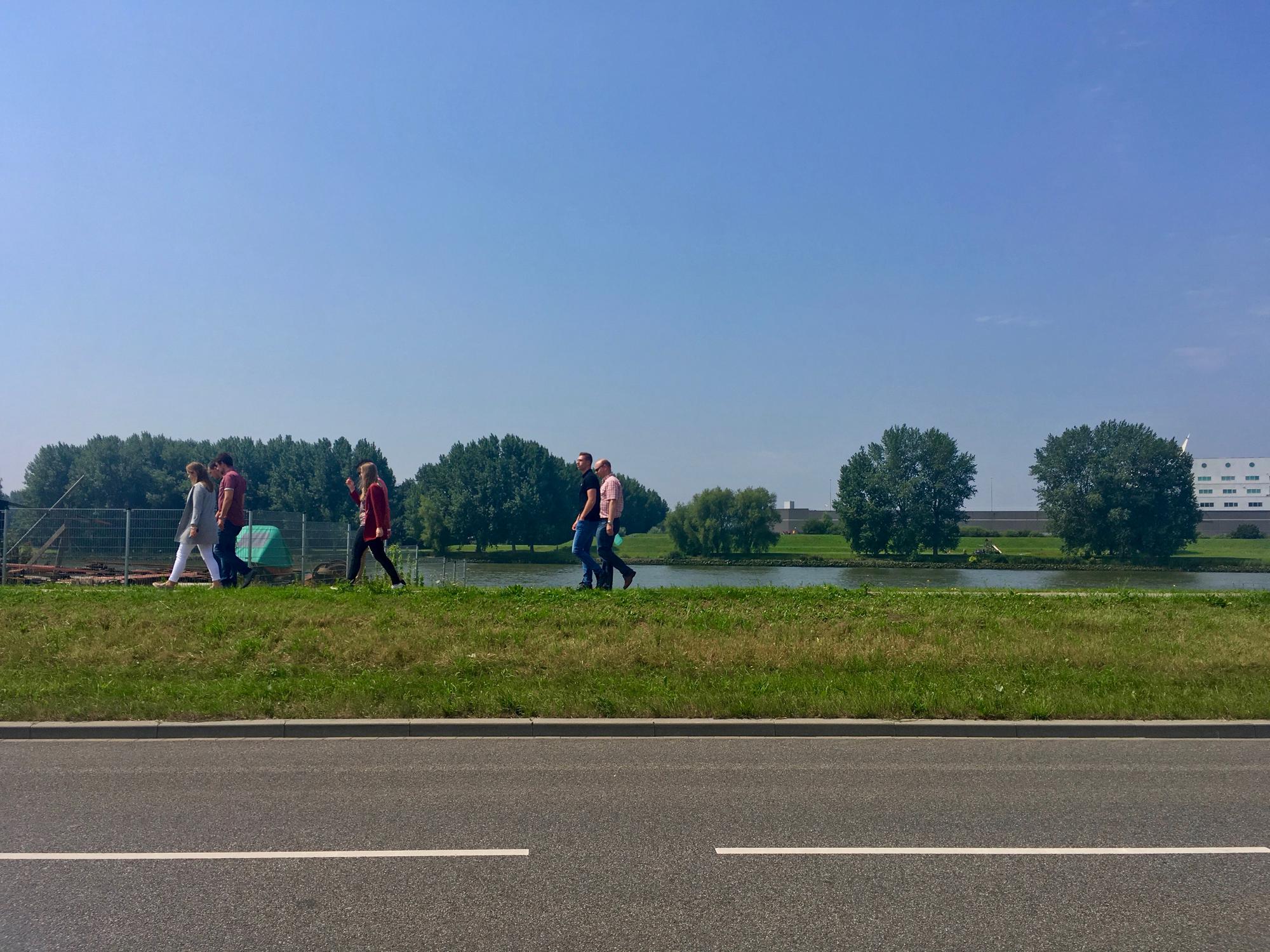 🇳🇱 Kinderdijk, Netherlands, July 2017.