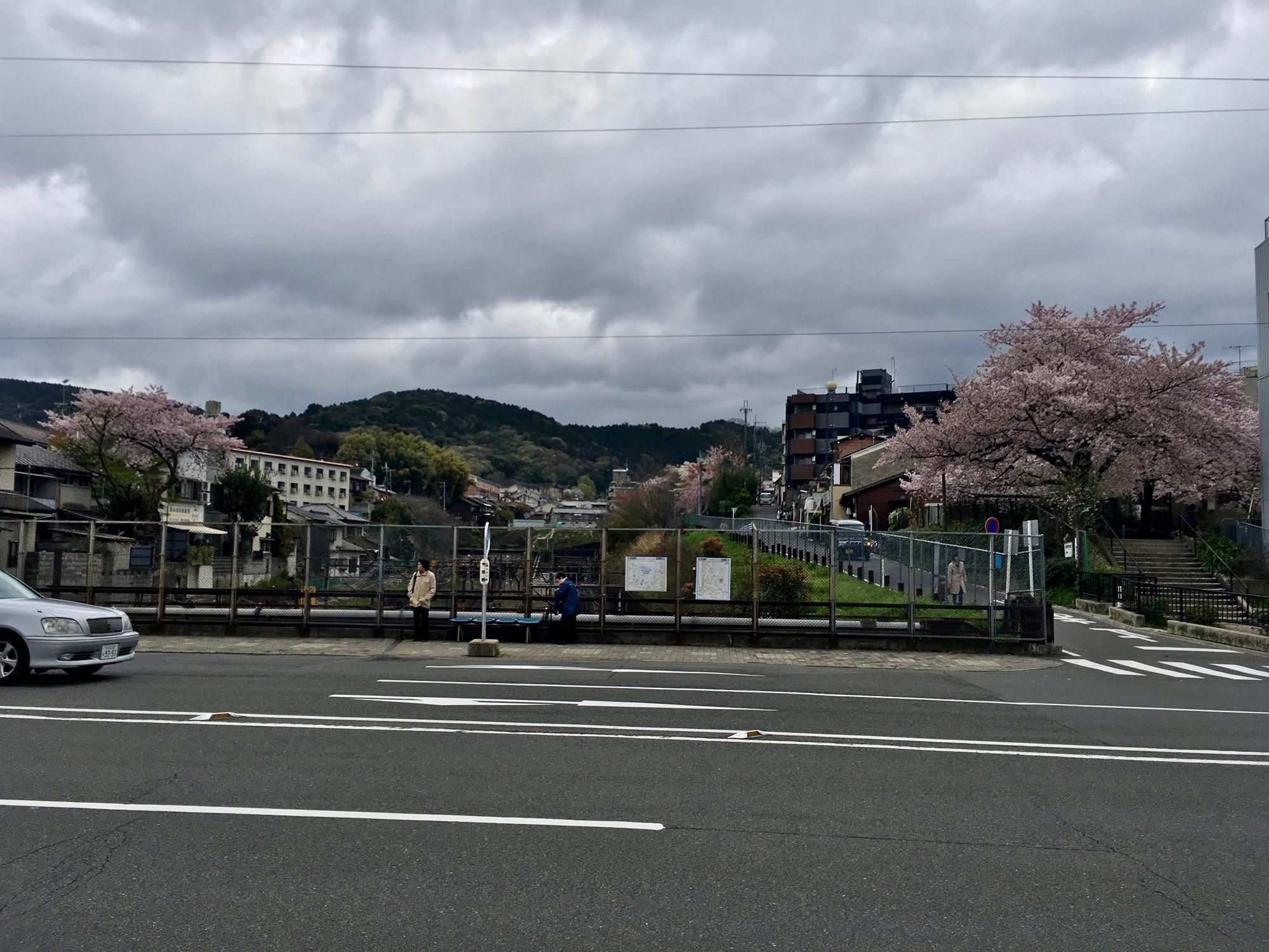 🇯🇵 Kyoto, Japan, April 2017.