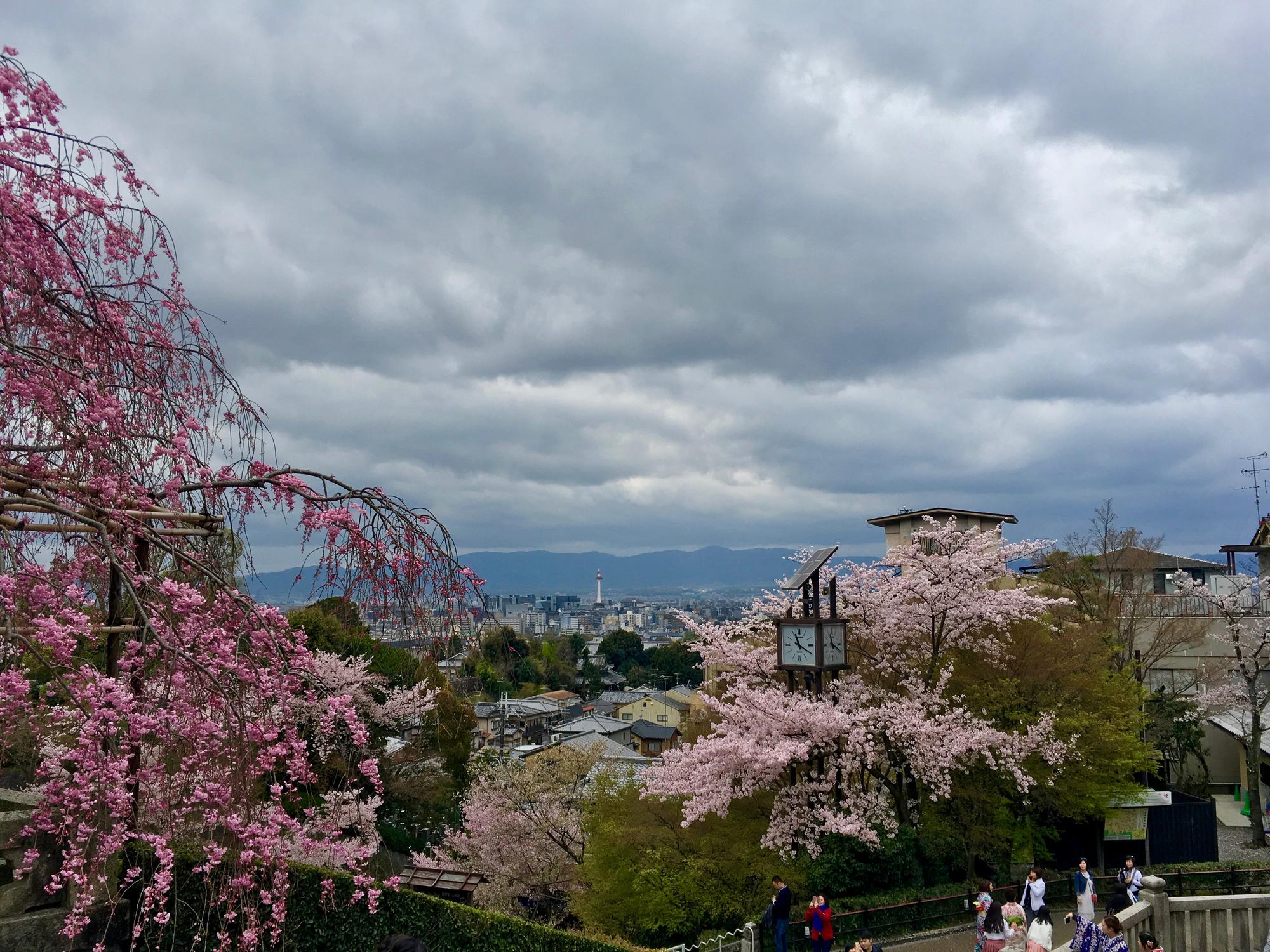 🇯🇵 Kyoto, Japan, April 2017.