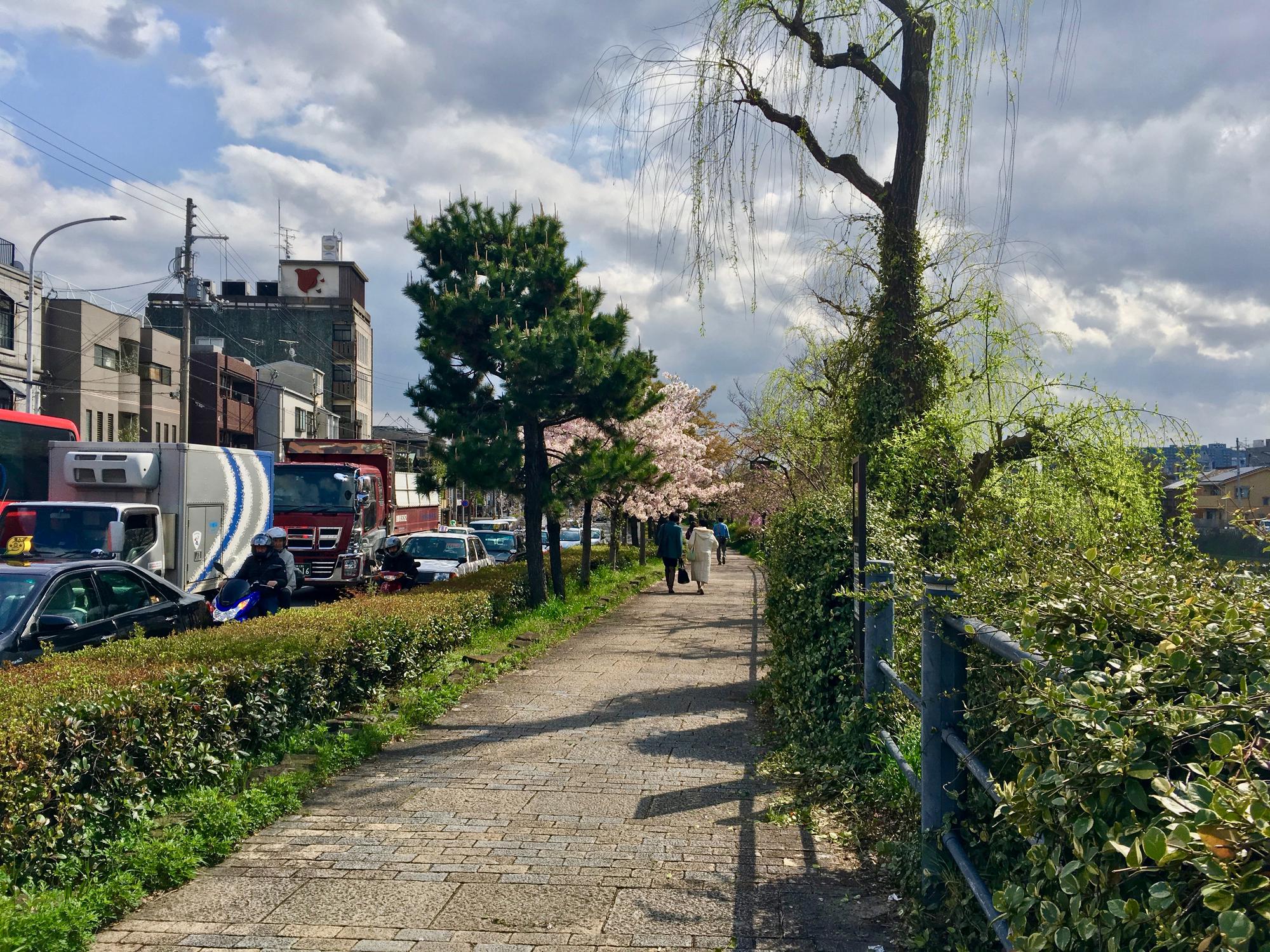 🇯🇵 Kyoto, Japan, April 2017.