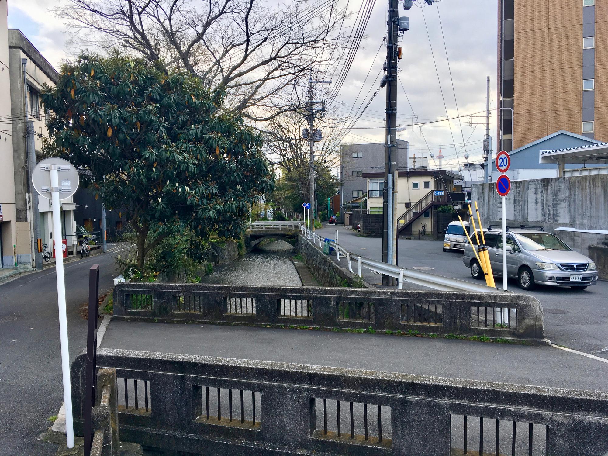 🇯🇵 Kyoto, Japan, April 2017.